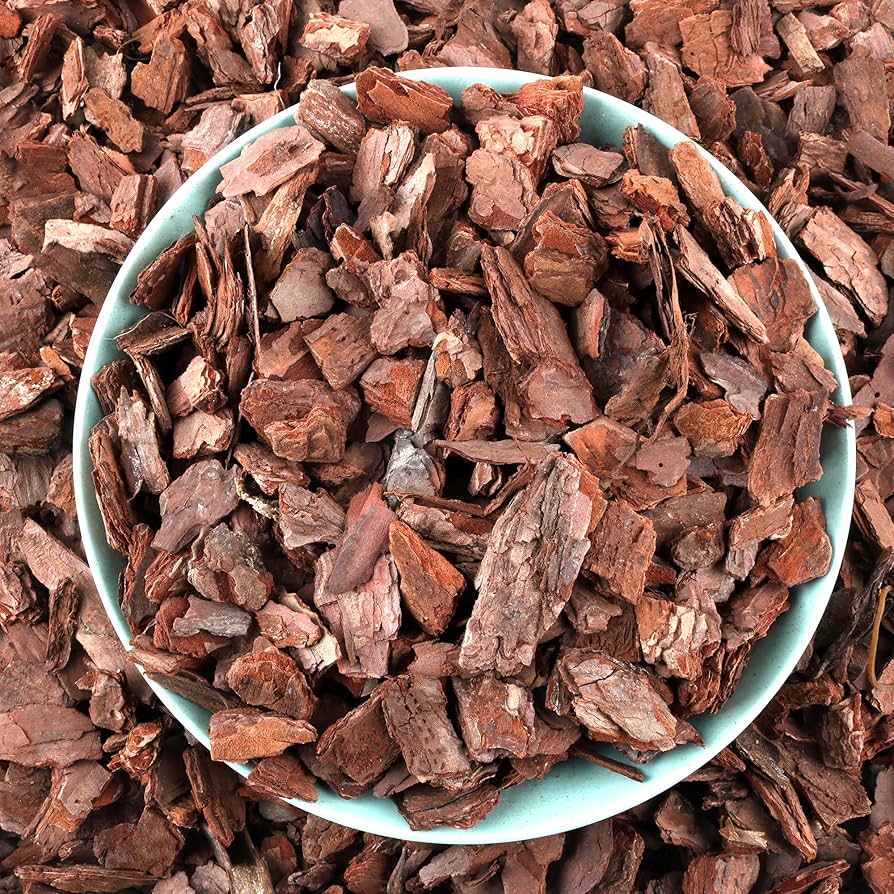 Amazon.com : AVALUTION Orchid Potting Bark-9QT Organic Orchid Bark