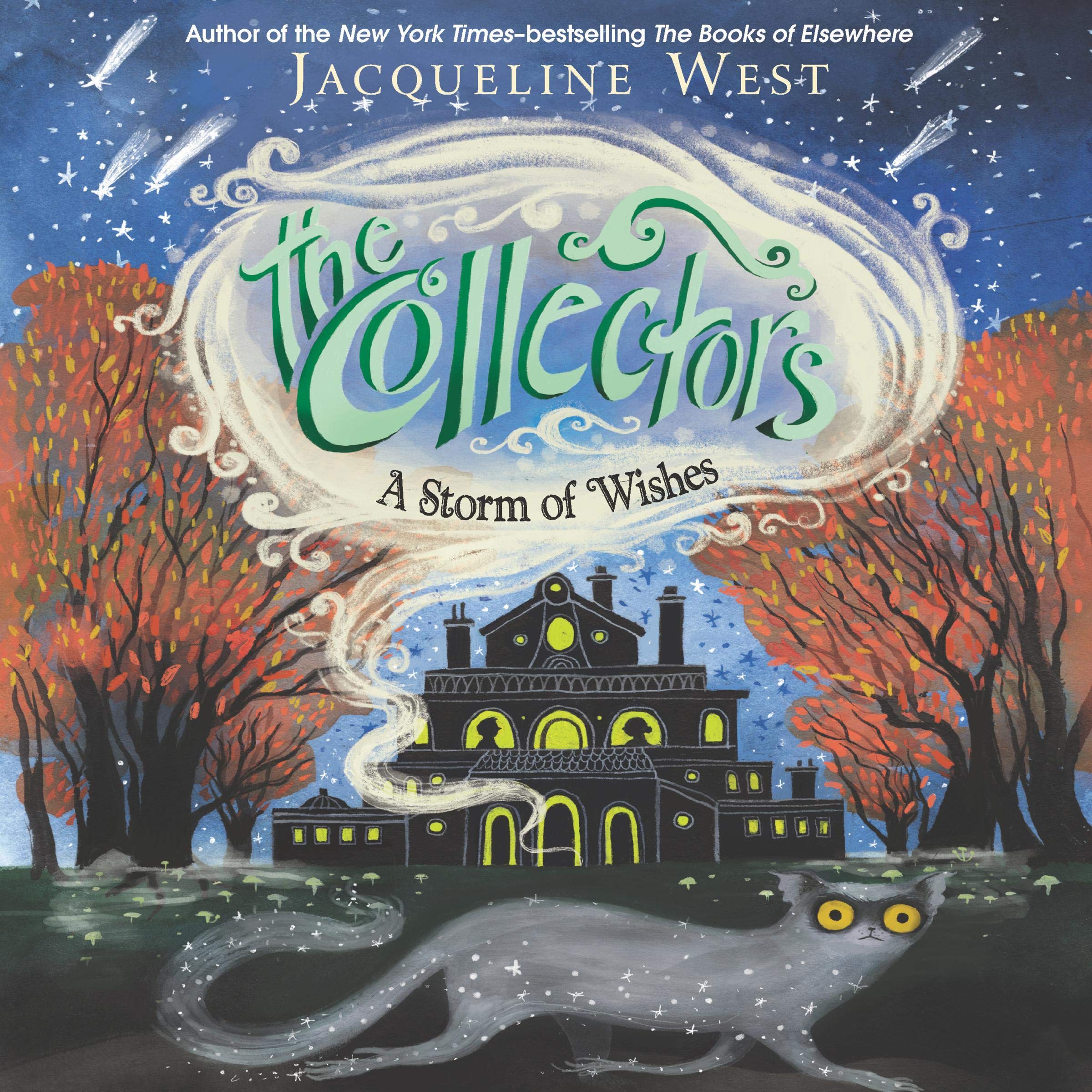 Cover art for The Collectors #2: A Storm of Wishes