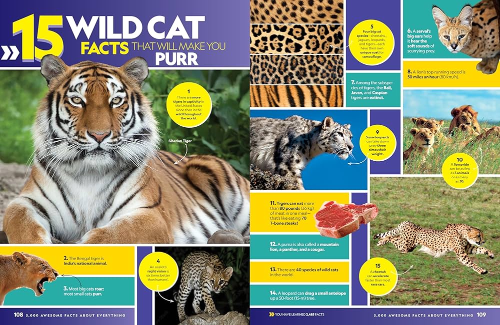 Lots of Things to Know About5冊 Lots of Things to Know About5冊 Lots of Things to Know