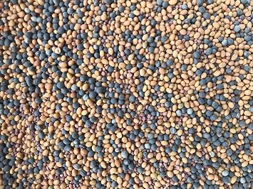 Antler King Game Changer Clover Mix