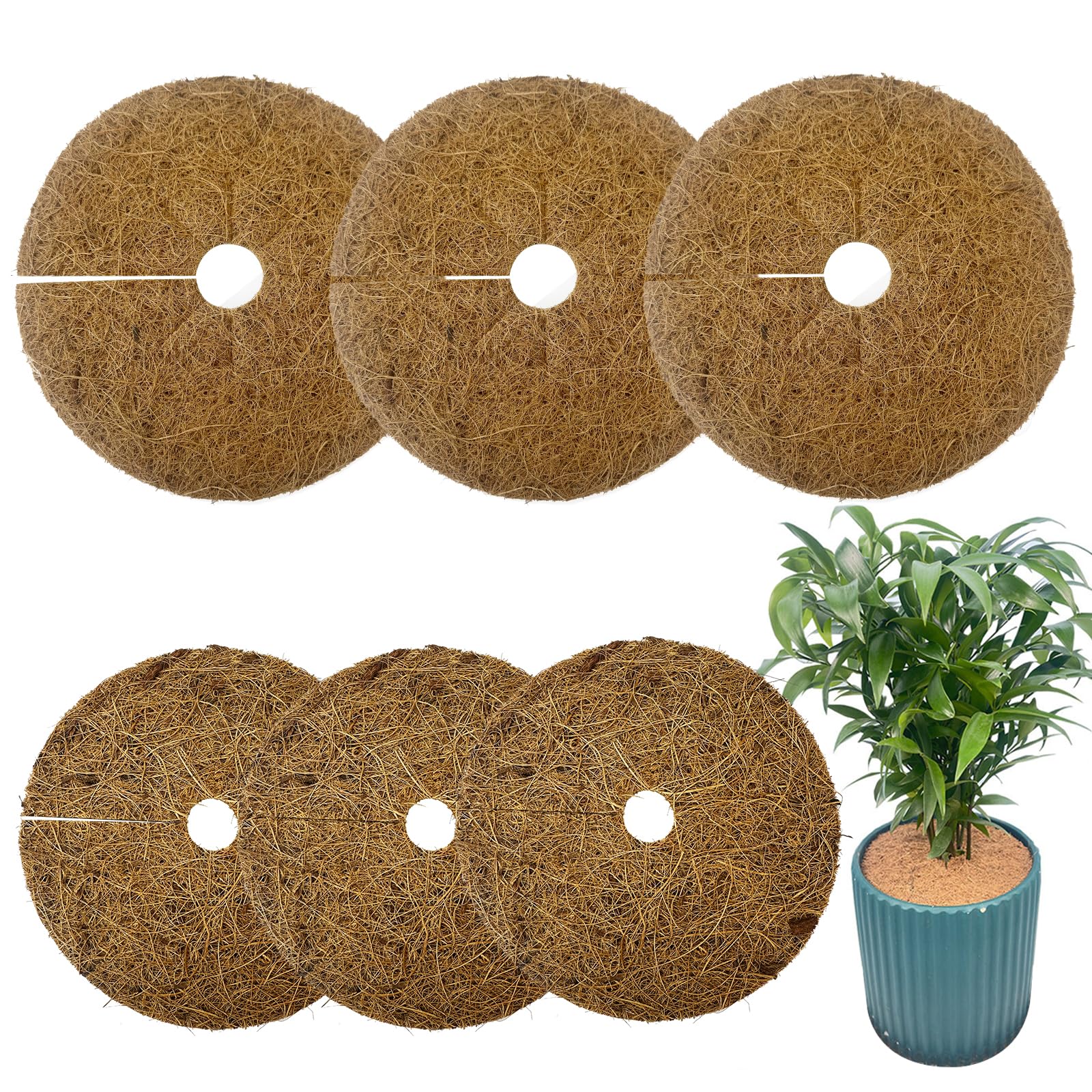 6 Pièces Tapis De Coco Pour Plantes 15cm Et 20cm - Disques Protection Hivernale Et Anti-Mauvaises Herbes
