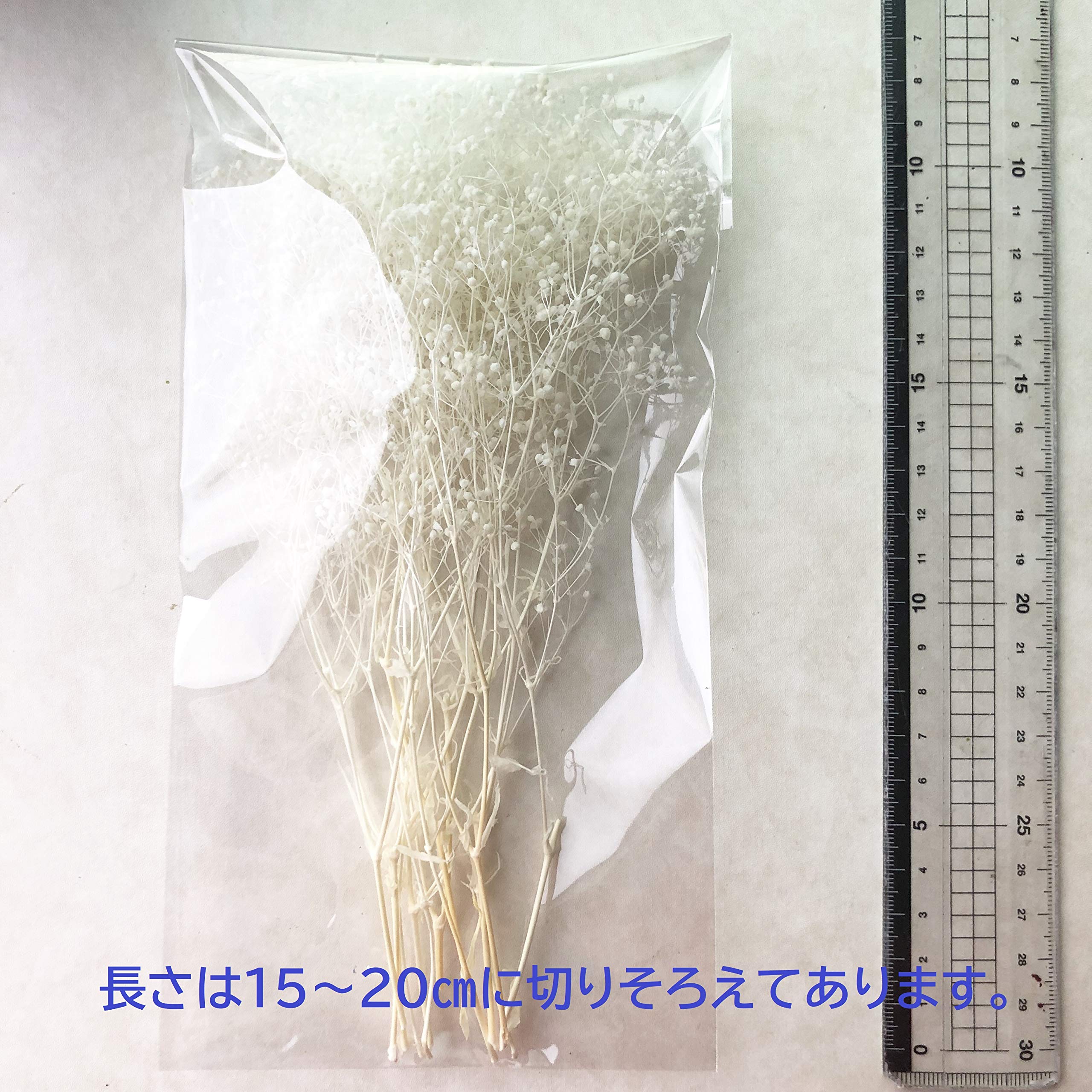 Amazon.co.jp: プリザーブドフラワー ソフトミニカスミ草 黒ラメ