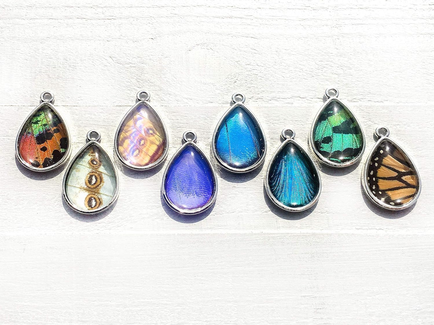 Real butterfly wing earrings for women Monarch butterfly earrings Taxidermy jewelry Real bug earrings Insect earrings