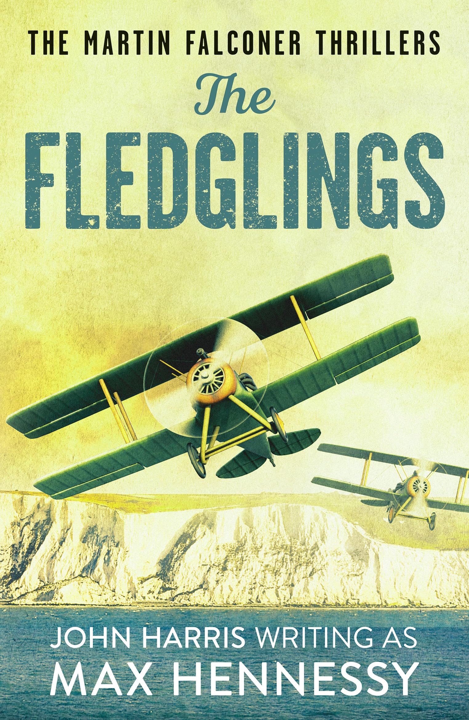 The Fledglings: 1 (The Martin Falconer Thrillers),Max Hennessy