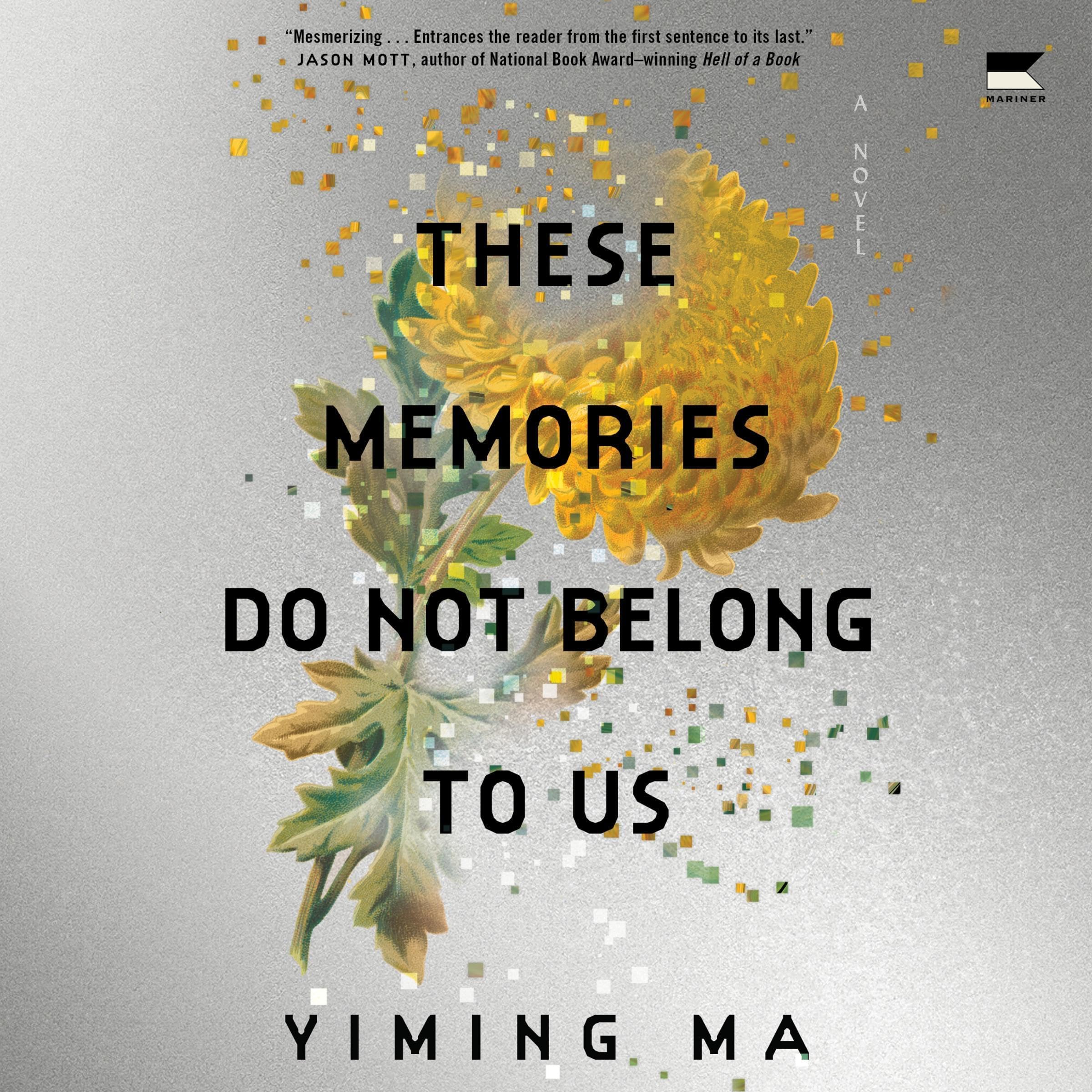 These Memories Do Not Belong to Us