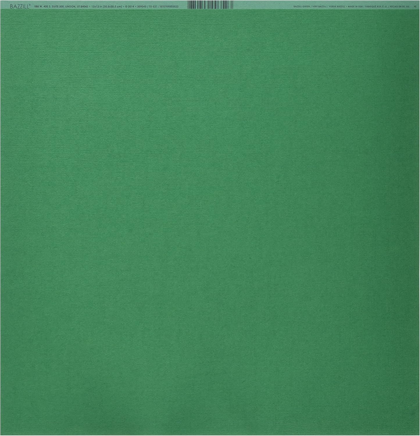 Cardstock Green 12X12 80lb Mono by Bazzill