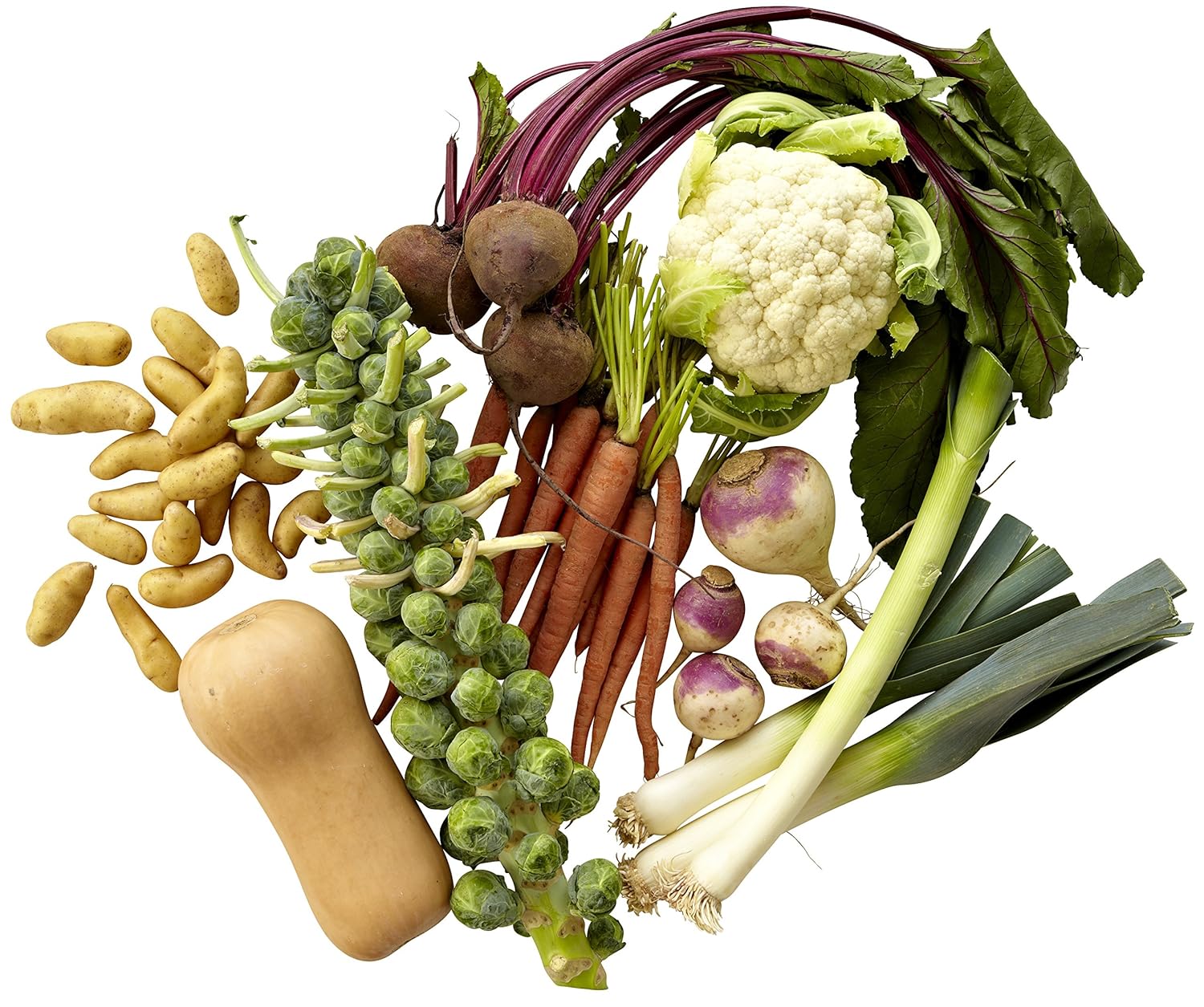 Local Organic Seasonal Vegetable Bundle
