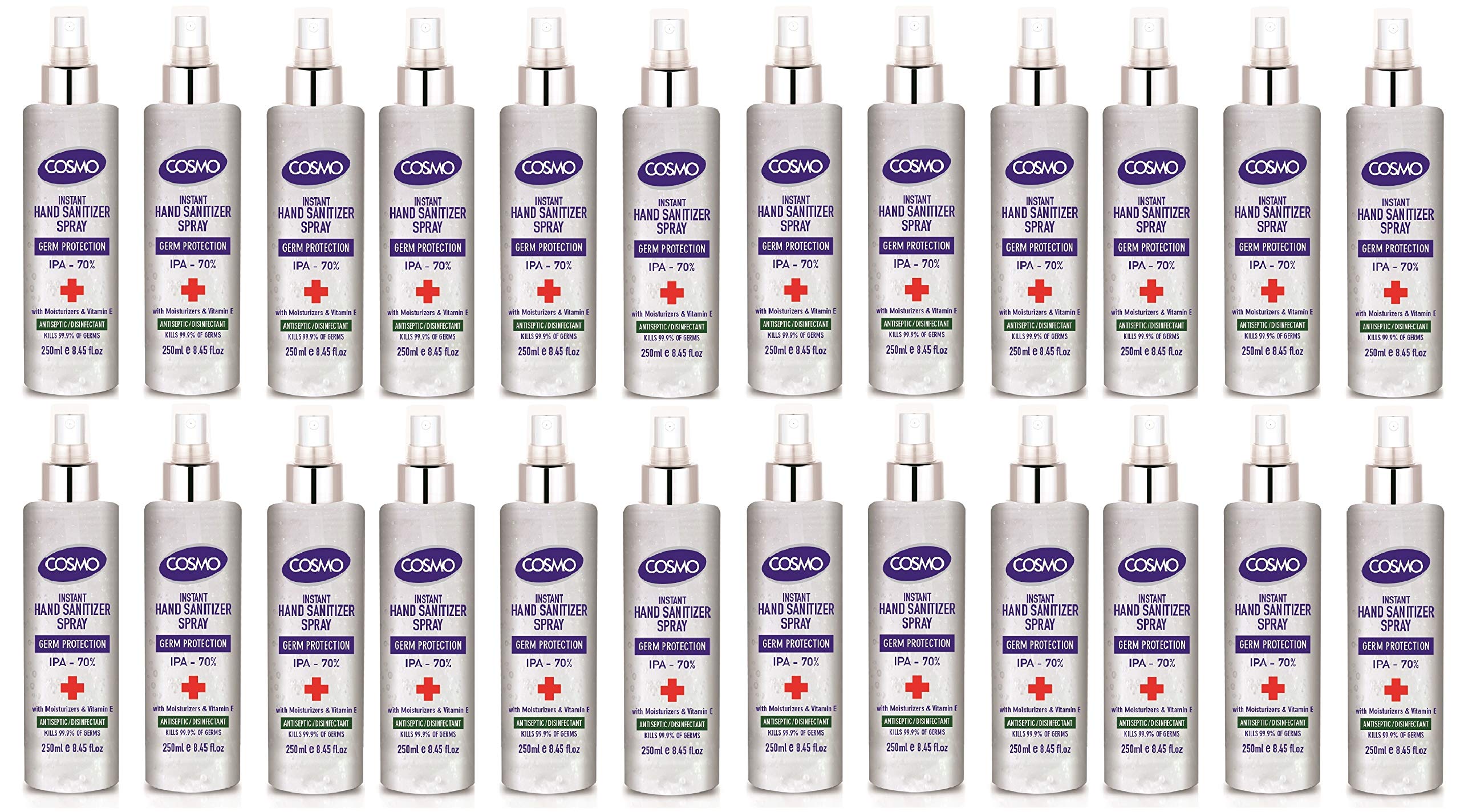 Instant Hand Sanitizer Spray, Pack of 24,250ml