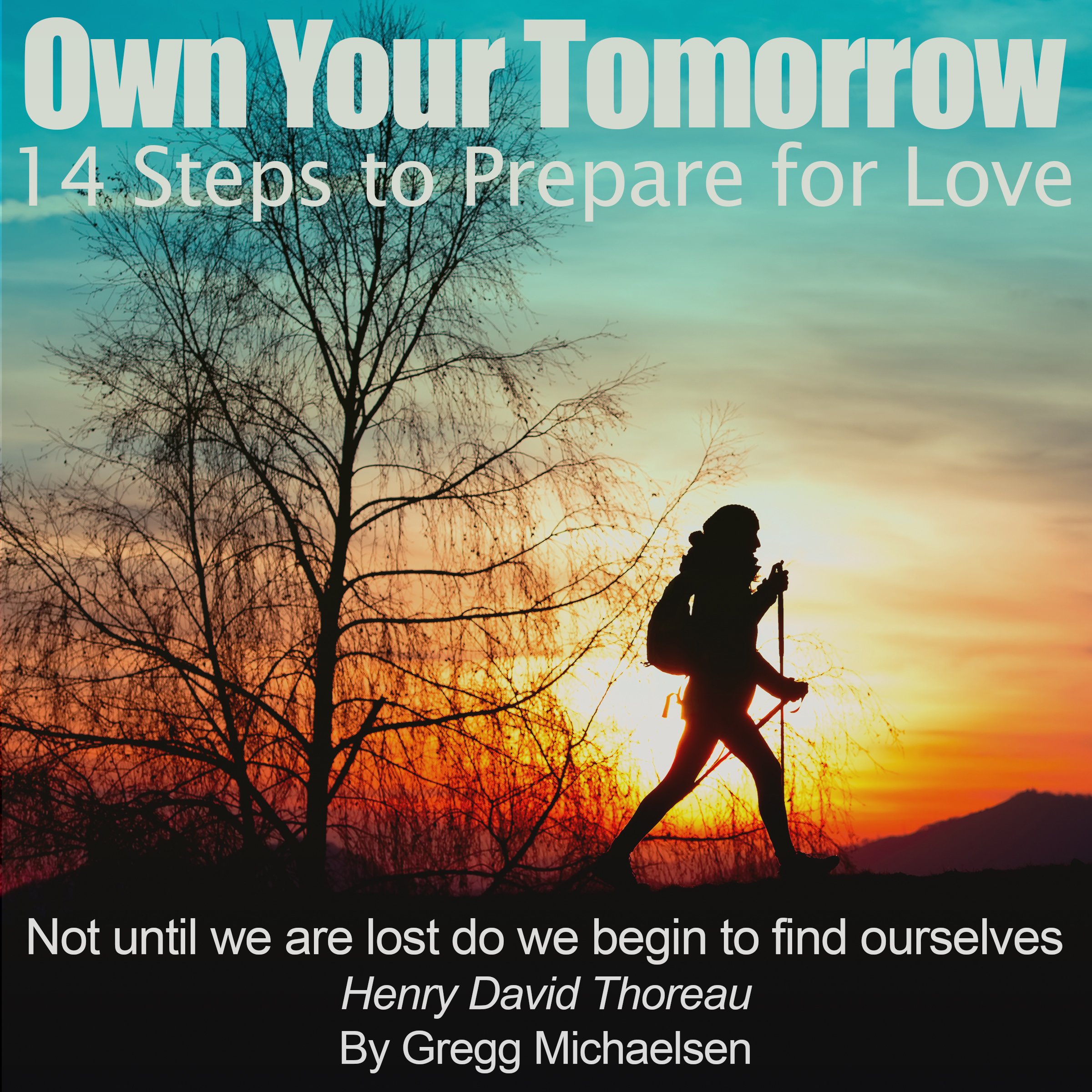 Cover art for Own Your Tomorrow: 14 Steps to Prepare for Love