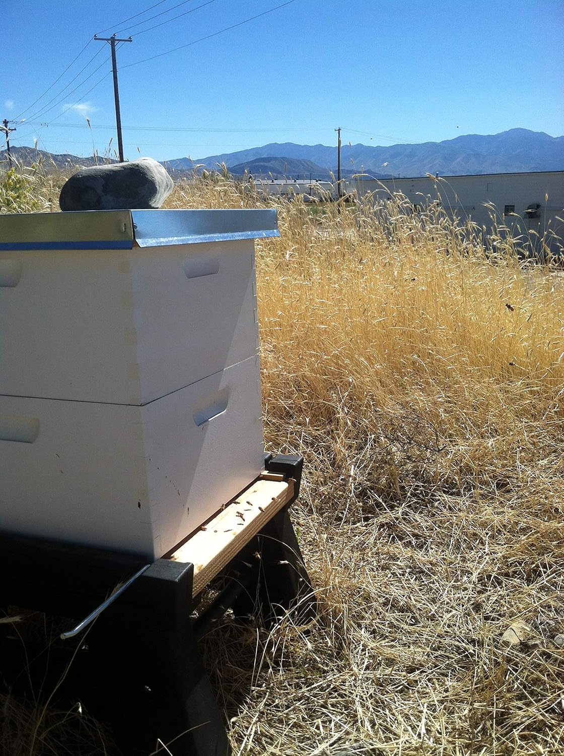 Harvest Lane Honey WWTF-101 Flat Hive Top