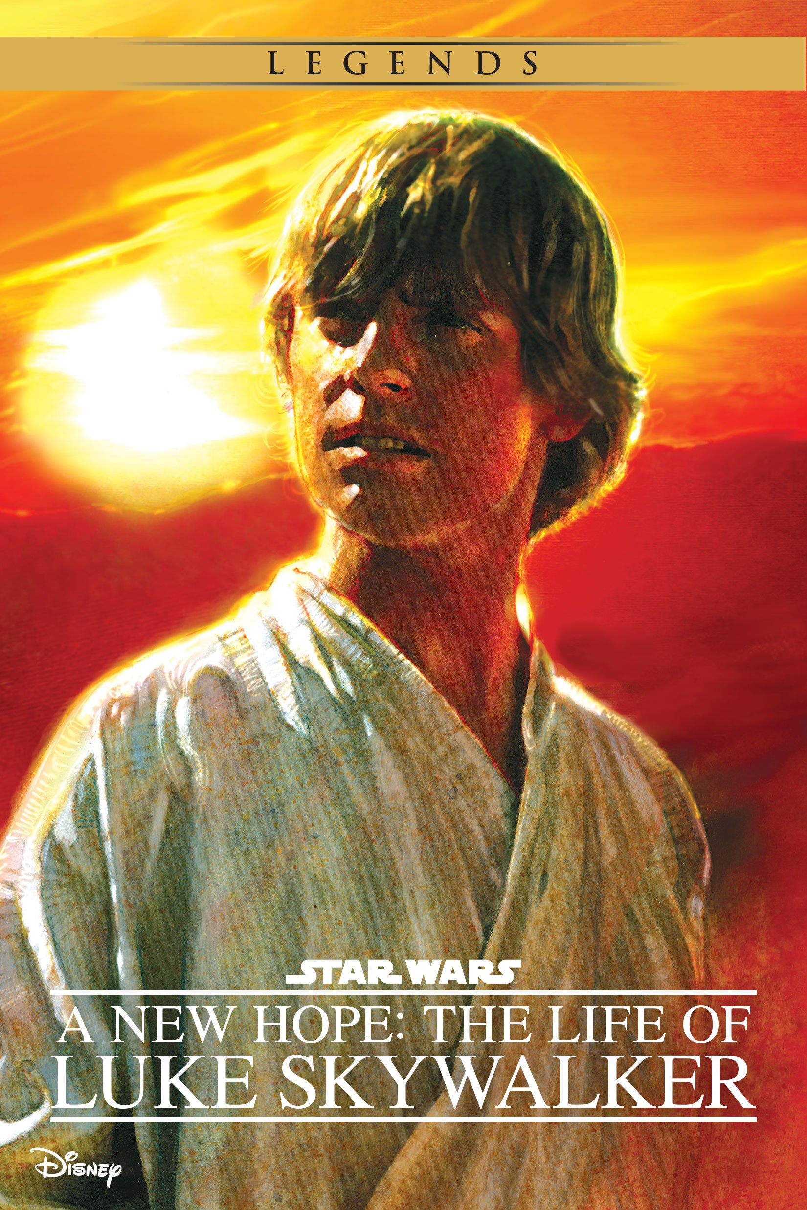 The Life of Luke Skywalker (Star Wars: A New Hope)