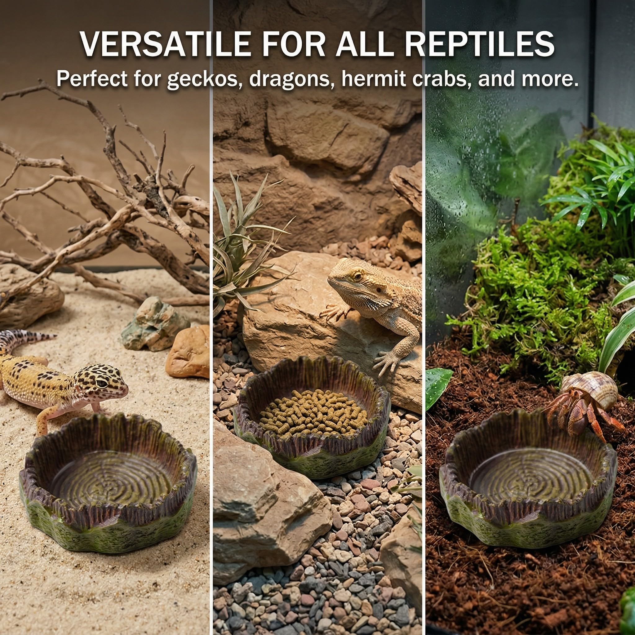 UIEXEA Terrario Tortugas Tierra, Cuencos Agua y Comedero Para Reptiles Amarillo, Accesorios para Tortuga Gecko Serpiente — view 4