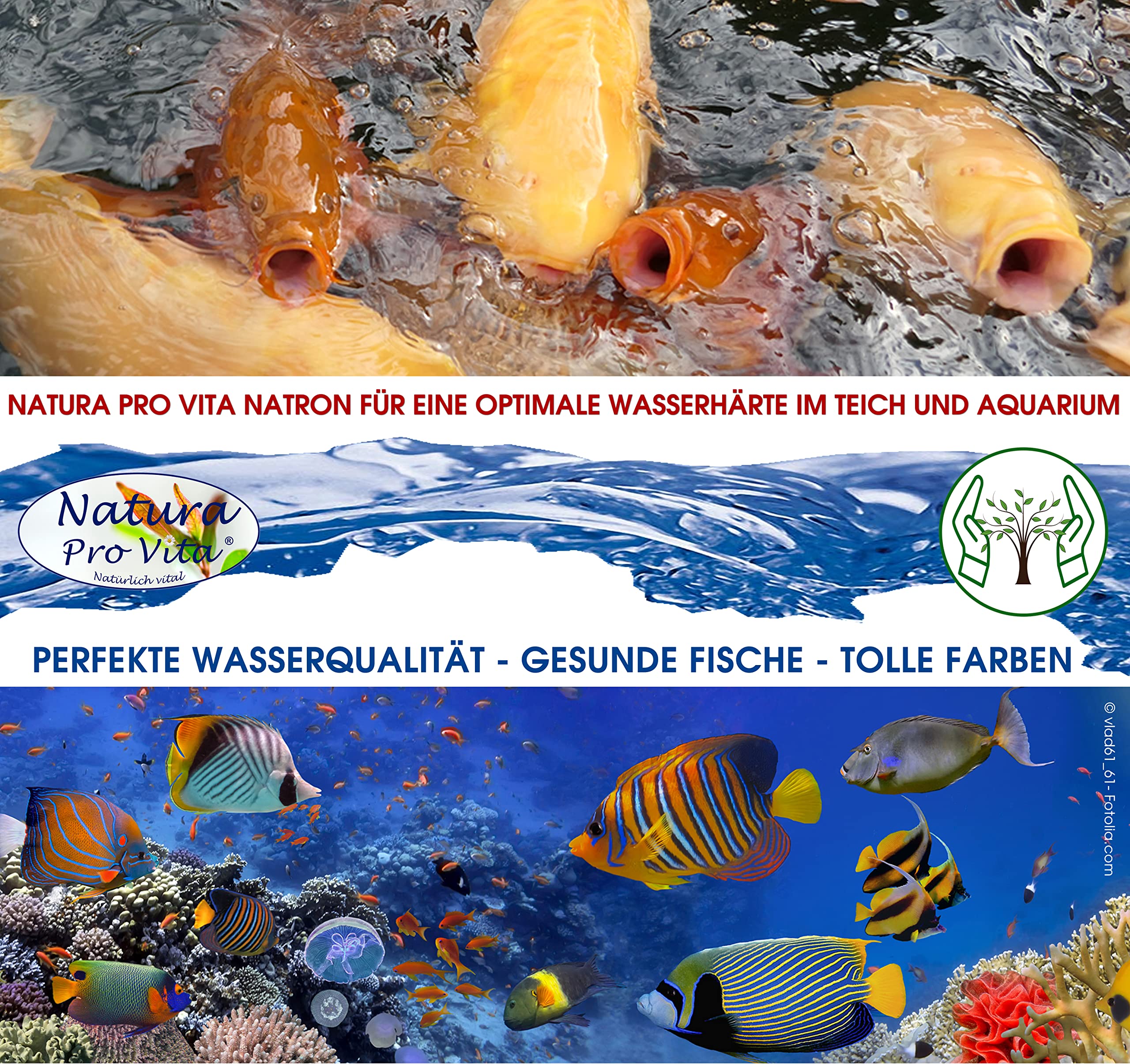 KH Plus Koiteich klares Wasser Natron PH stabil gesunde Fische PH Puffer Karbonathärte Teich NaturaProVita Natron Lebensmittel 10kg Eimer