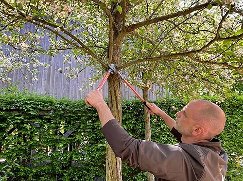 Miniatura 5 de Bahco BHP16-50-F P1650 P16-50-F - Alzadoras tradicionales de 19.685 in y 1.181 in de capacidad, multicolor