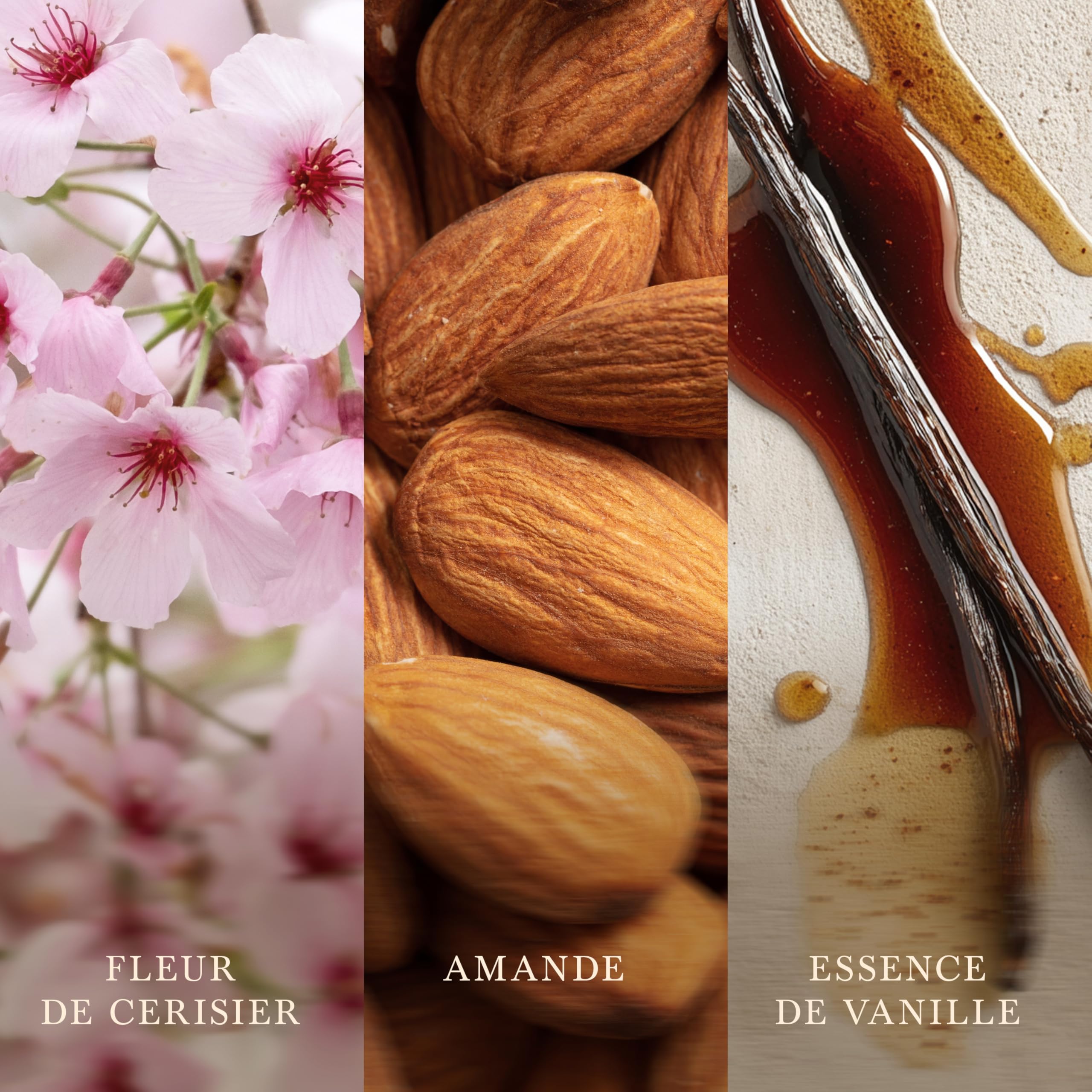 WoodWick Bougie parfumée | Bougie Ellipse | Cerise rose et vanille | Cadeaux parfaits pour femmes