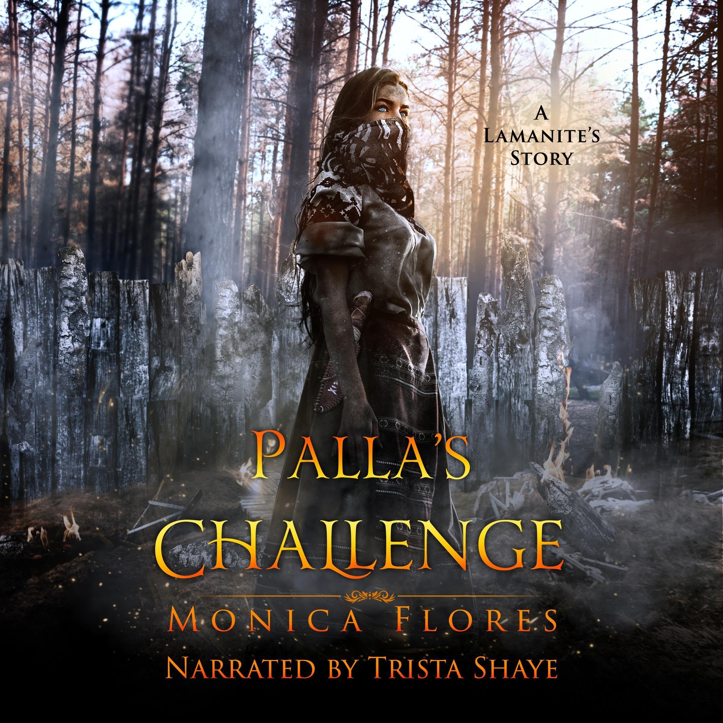 Cover art for Palla's Challenge