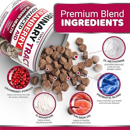 Miniatura 3 de Tratamiento de infecciones urinarias para gatos - Suplemento de arándano para gatos - Control de la vejiga - Tratamiento de infecciones de salud del