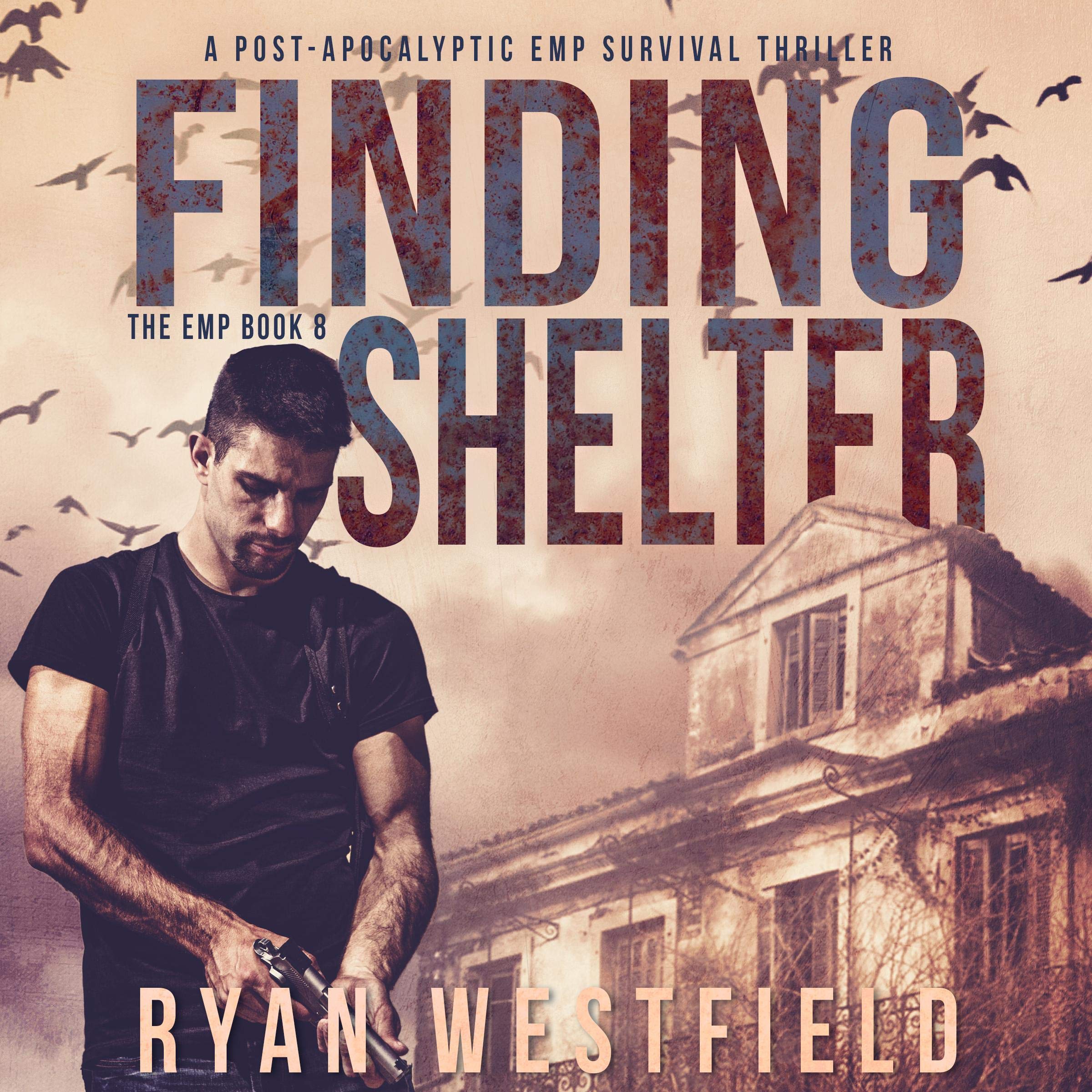 Cover art for Finding Shelter: A Post-Apocalyptic EMP Survival Thriller