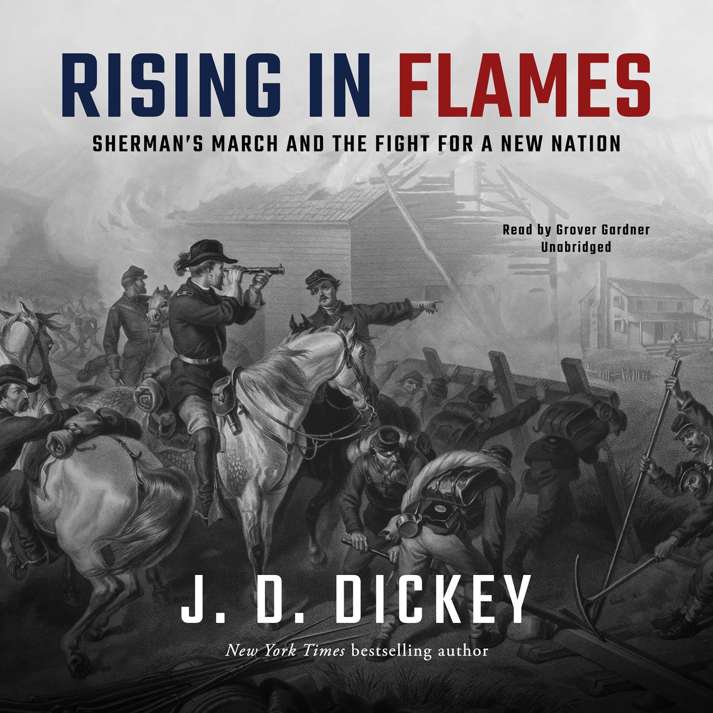 Cover art for Rising in Flames