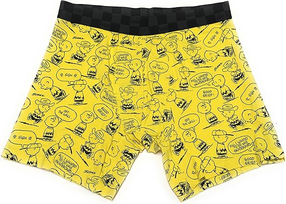 Boxer vans Clearance