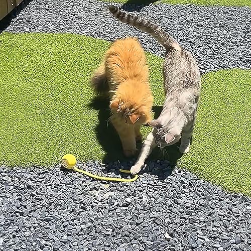 Miniatura 9 de Juguete automático para gatos, pelota interactiva con diseño de plumas y cola rápida 3.0, juguete eléctrico de persecución para gatos, recargable