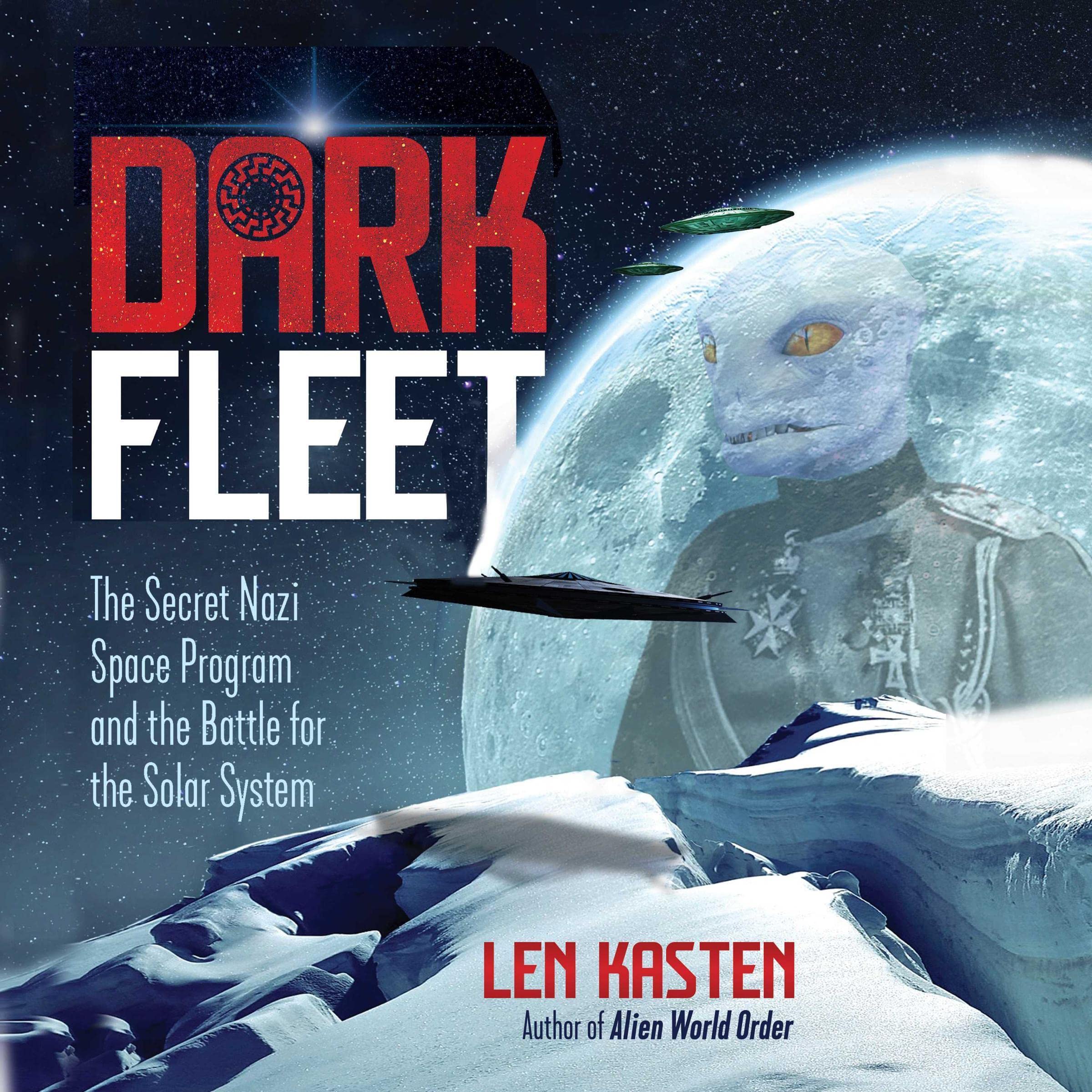 Cover art for Dark Fleet