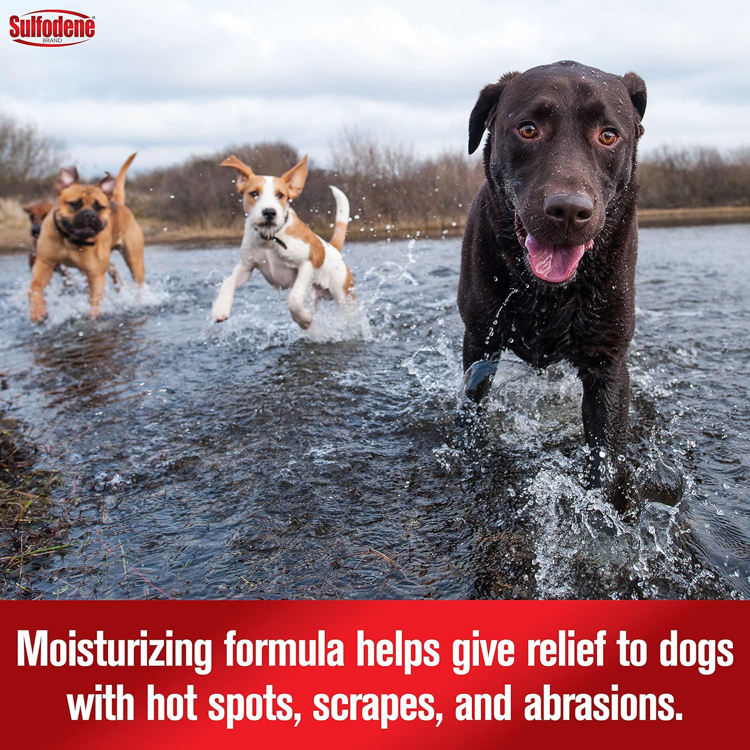 Sulfodene Hot Spot & Itch Relief Medicated Spray for Dogs