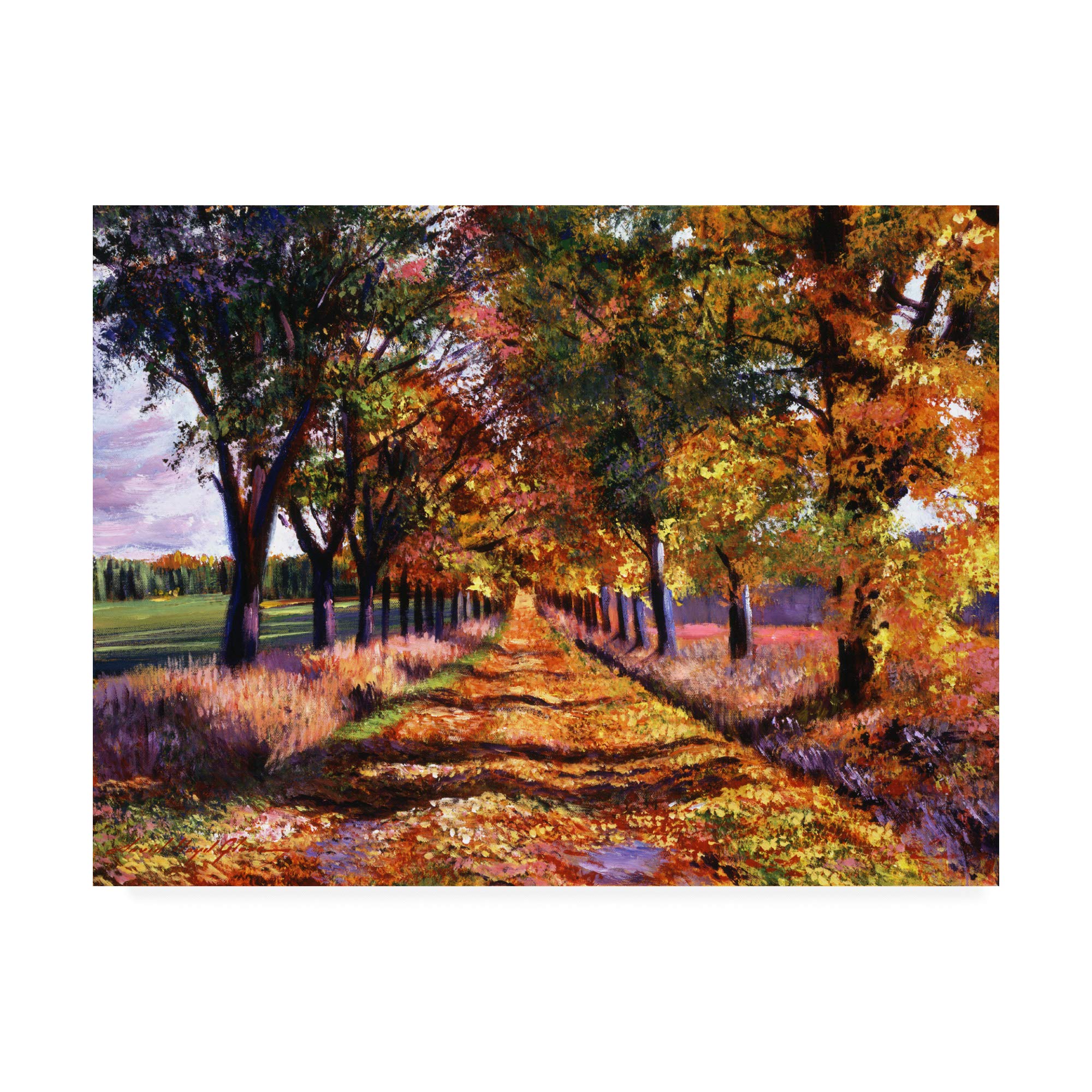 Trademark Fine Art Colors of Vermont by David Lloyd Glover, 18x24