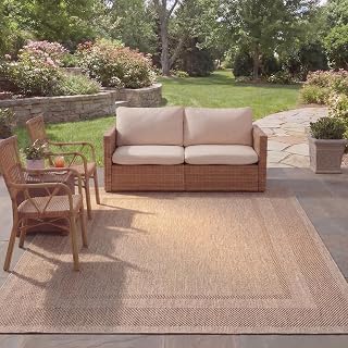SAFAVIEH Outdoor Area Rug 6x8 - Courtyard Collection - Coastal Design, Beige & Brown, Non-Shedding & Easy Cleaning, Weather Resistant, Ideal for Patio, Backyard, Kitchen, Mudroom (CY8477-36312) - Amazon product rated Grade A