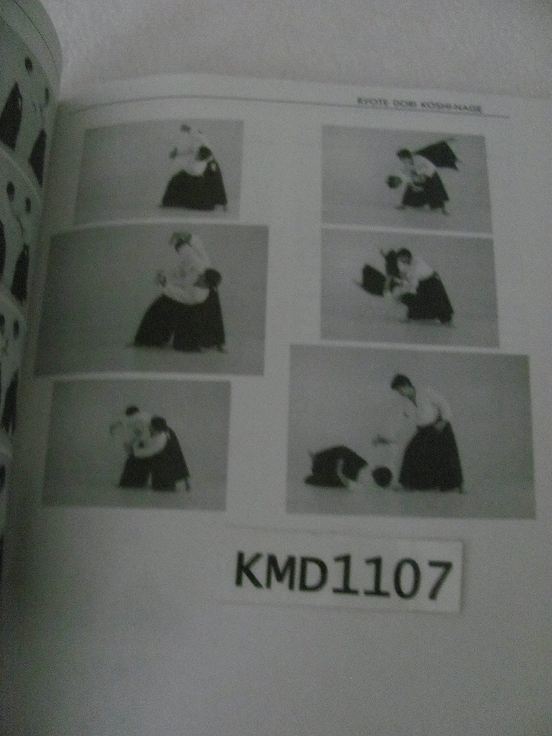 Living Aikido: Form, Training, Essence