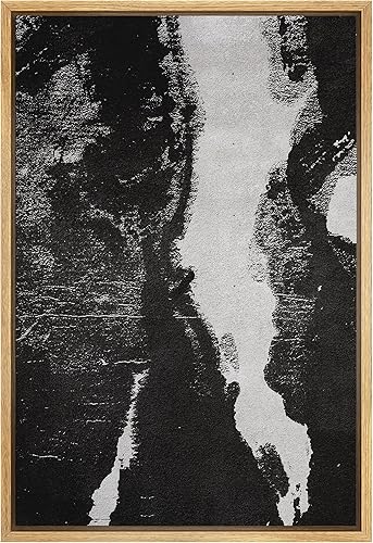 SIGNWIN - Lienzo decorativo para pared, diseño de flores en blanco y negro