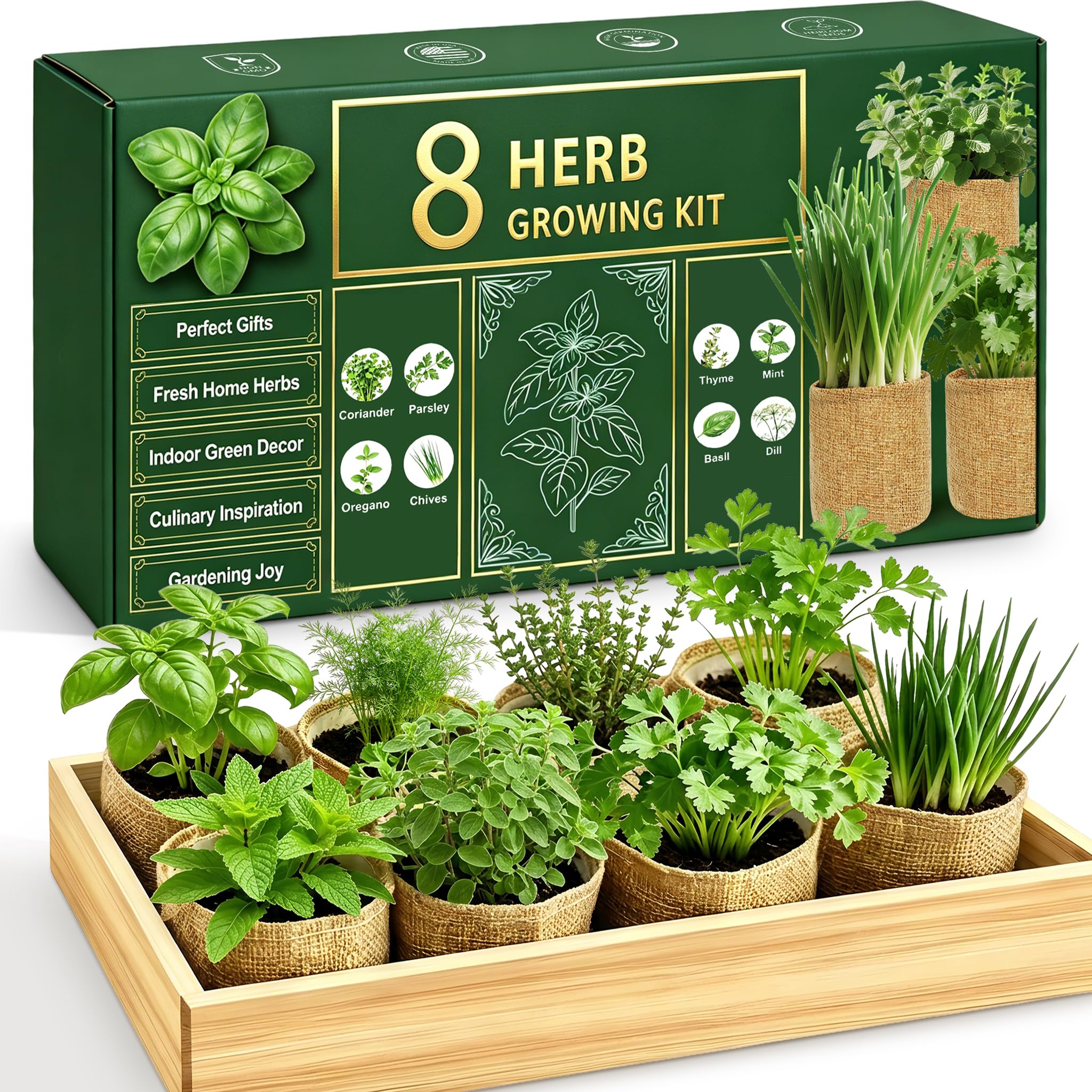 Kit de jardín de hierbas para interiores, kit de iniciación de hierbas culinarias con semillas y herramientas para principiantes, regalo de cumpleaños definitivo para mujeres, hombres, mamá, papá