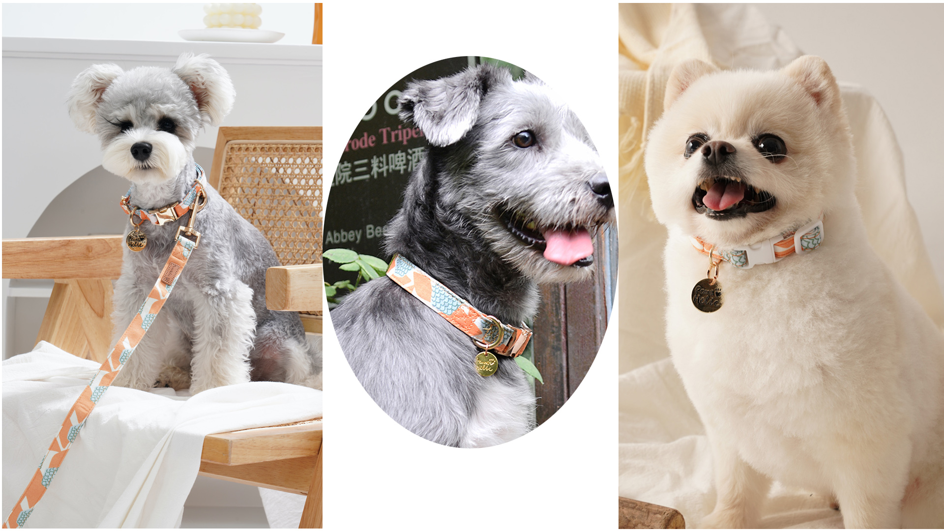 Amazon | Neskatu 犬 首輪 リードセット 小型犬 中型犬 大型犬 犬用