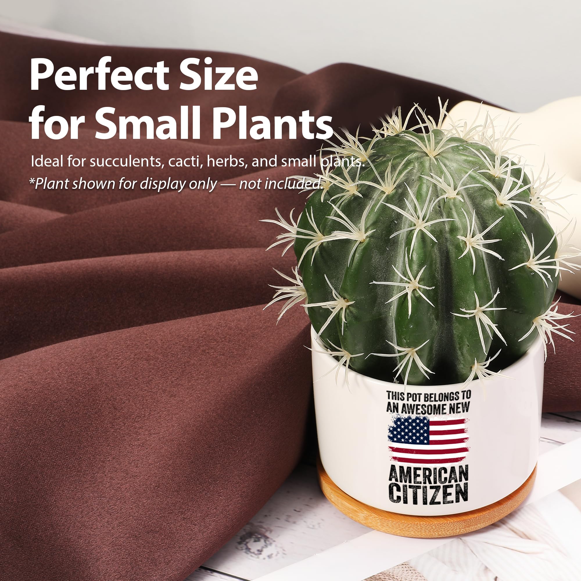 This Pot Belongs to an Awesome New American Citizen Ceramic Succulent Plant Pot with Bamboo Tray Round Citizenship Gifts American Flag Plant Lover Gifts Home Decor 3.5 Inch White (No Plants)