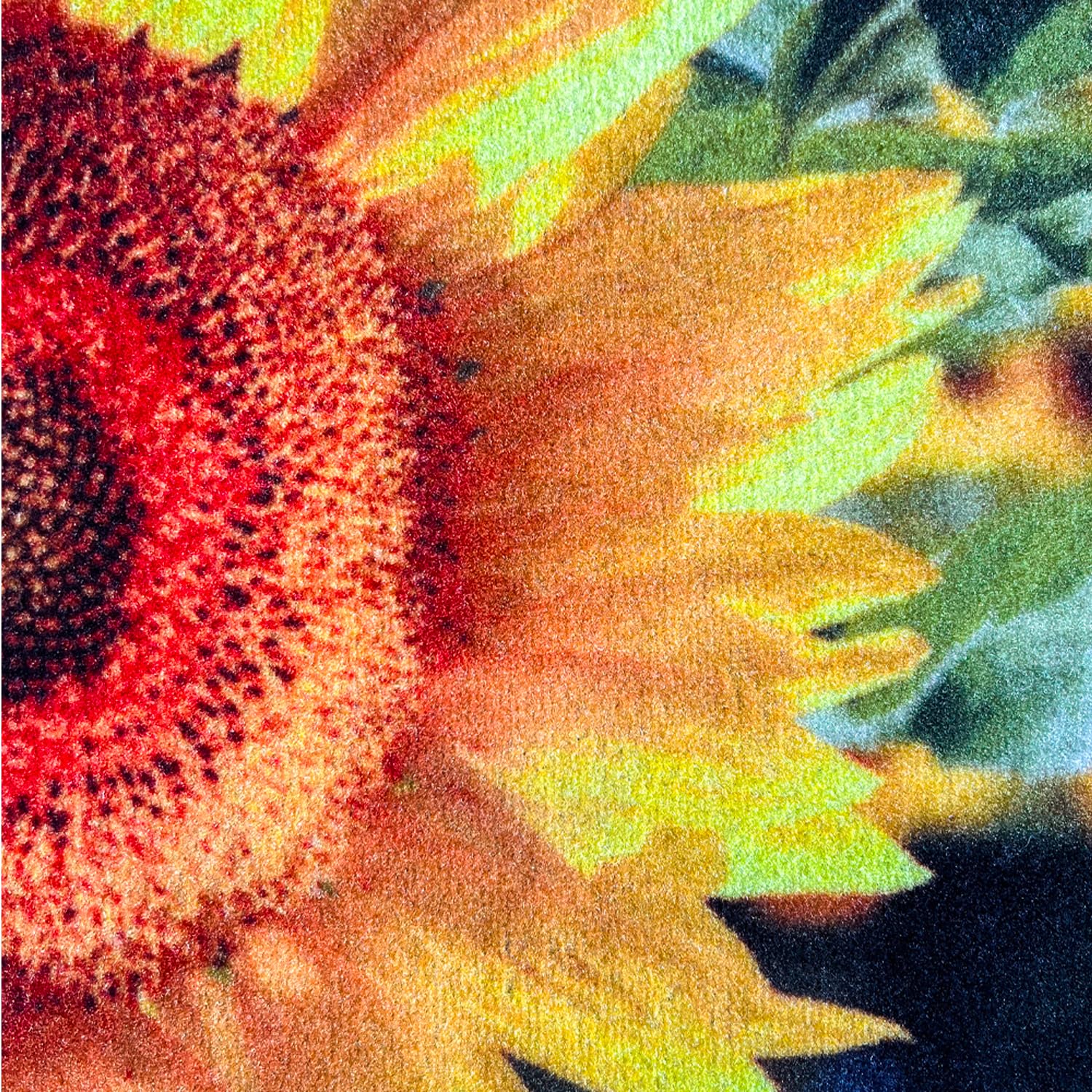 Tapis personnalisé avec photo, Tapis personnalisé entrée avec logo, Sèche photo (67x120 cm)