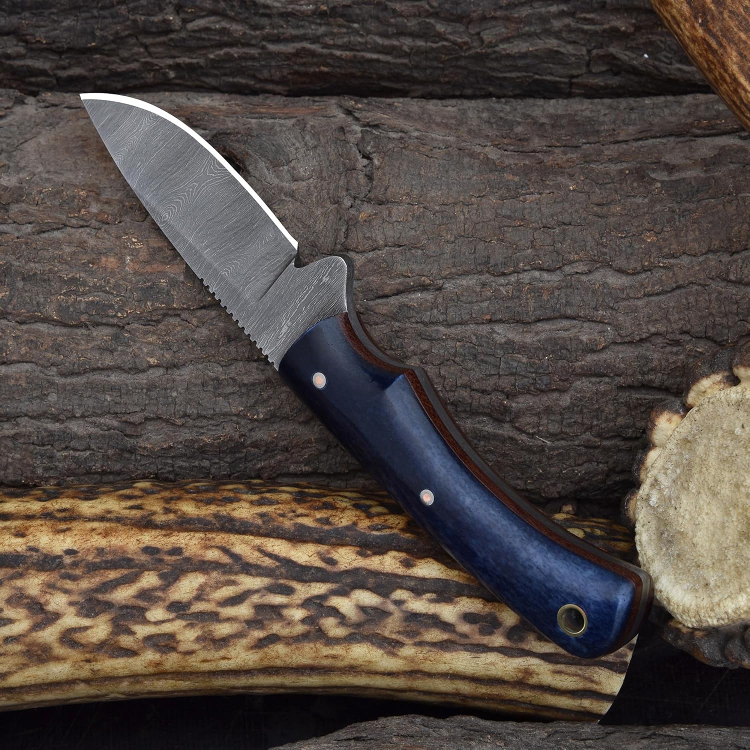 Knives Ranch Dyed Blue Bone Handle Hunting Knife with Genuine Leather Sheath Everyday Carry Design for Daily Use (3055-BLUE)