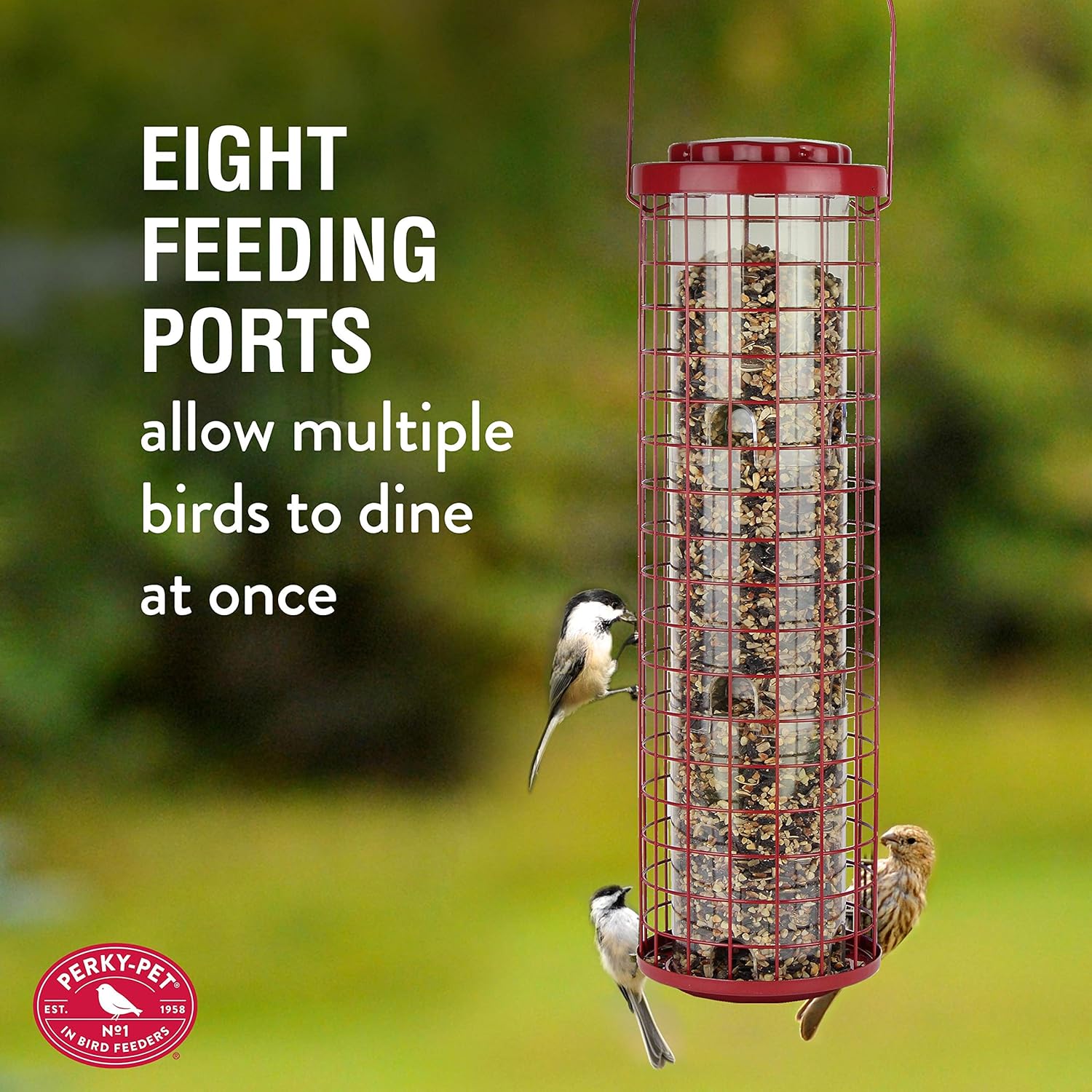 Several small birds perched on the feeder's wire cage, feeding from the ports.