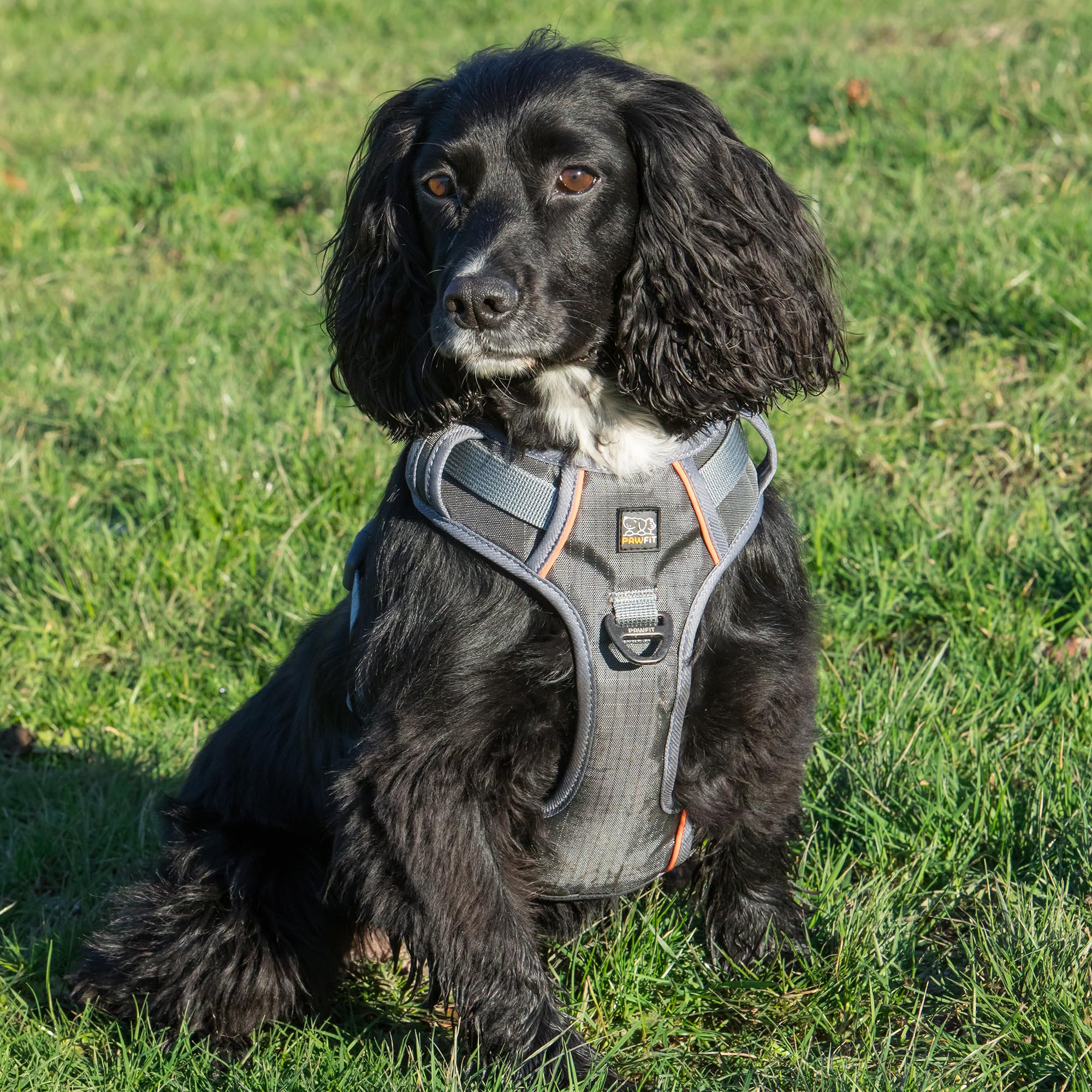 Pawfit Szelki z serii 3 dla średnich psów, bez ciągnięcia, z 2 klipsami do smyczy, regulowane, miękkie, wyściełane, kamizelki dla zwierząt domowych, odblaskowe do treningu lub chodzenia