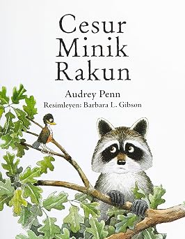 Cesur Minik Rakun