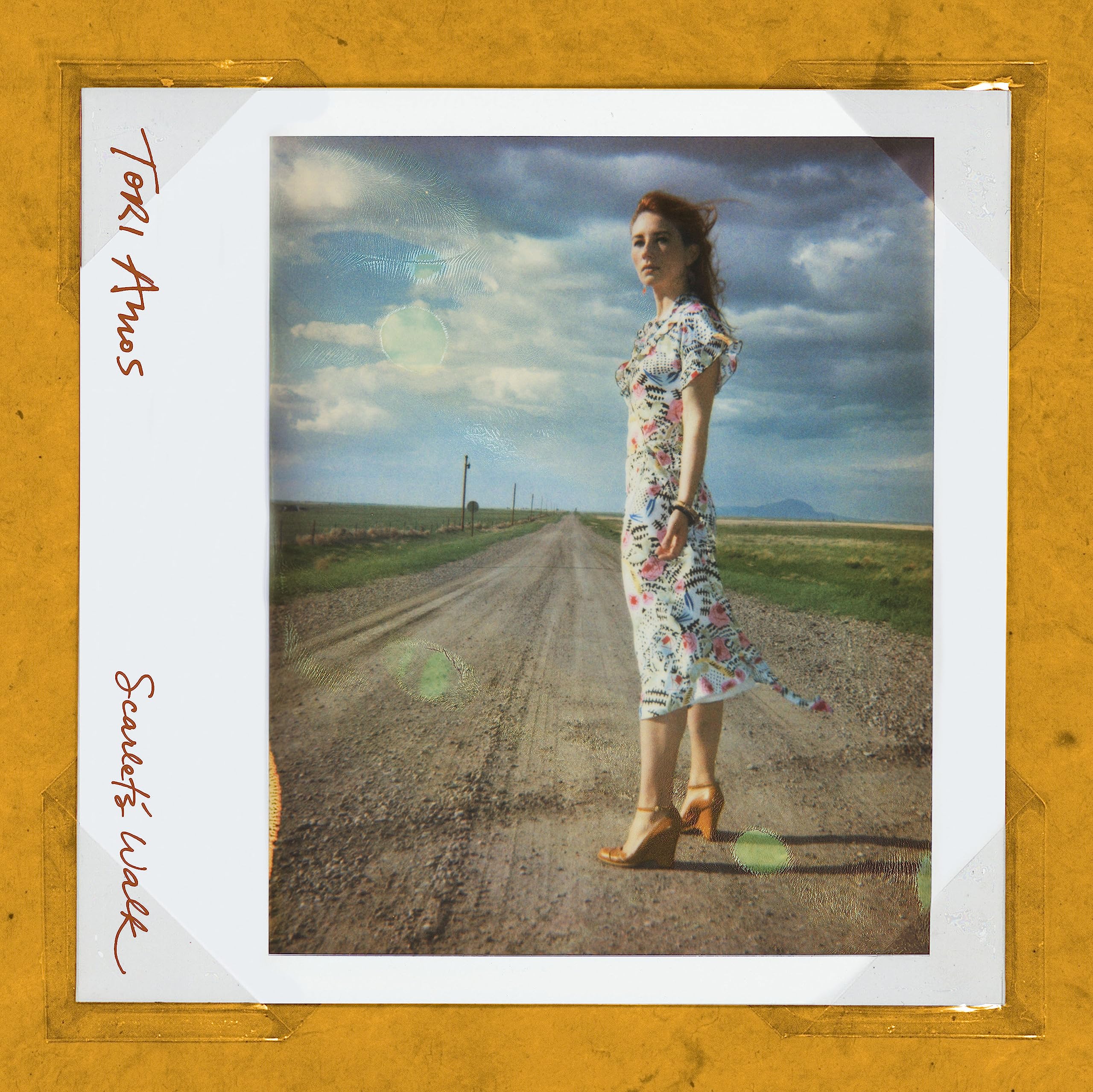 Scarlet'S Walk [VINYL]