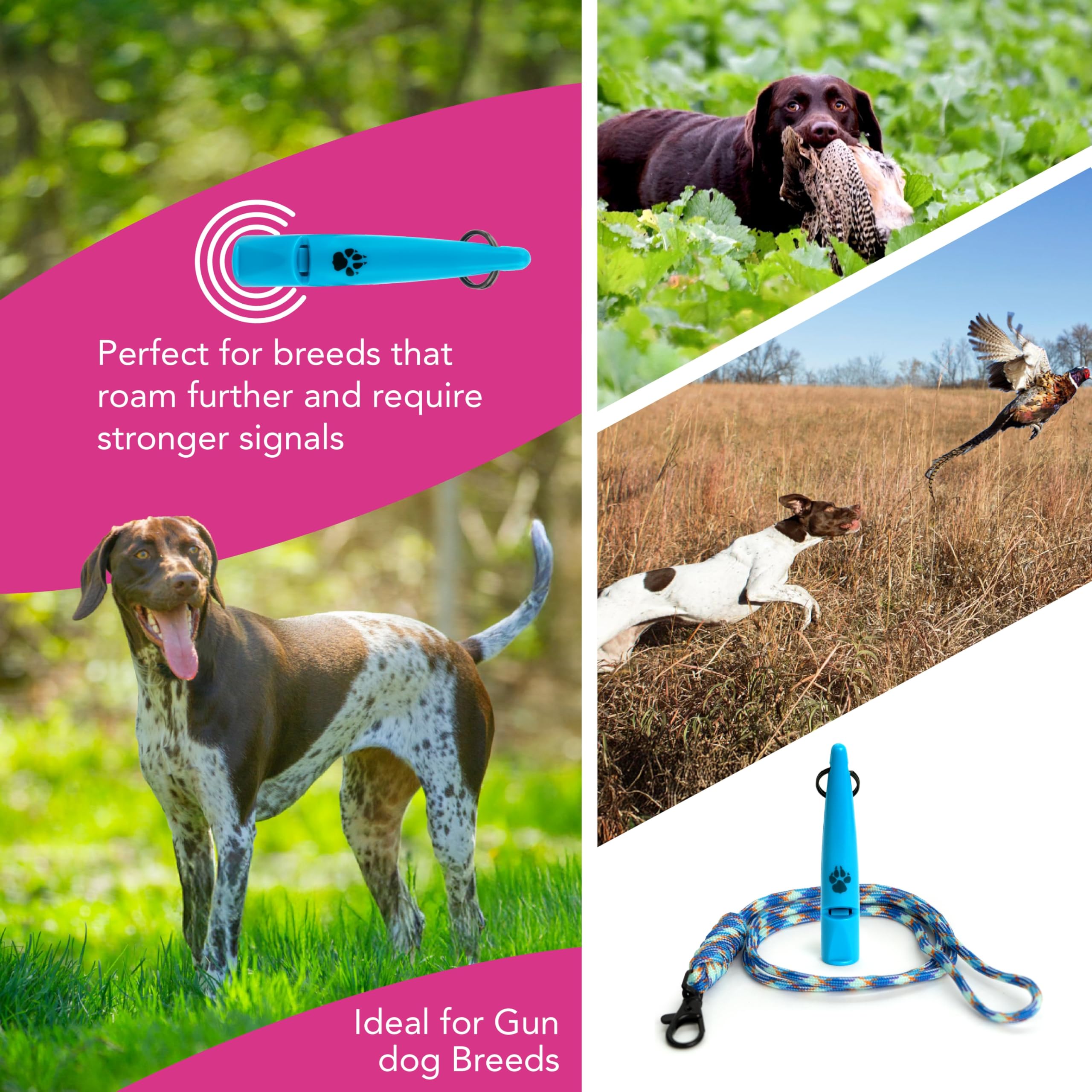 TDL Gun Dog Training Whistle with Lanyard, Dog Whistle with Loud, Solid Tone & Far Reaching Sound - Image 3