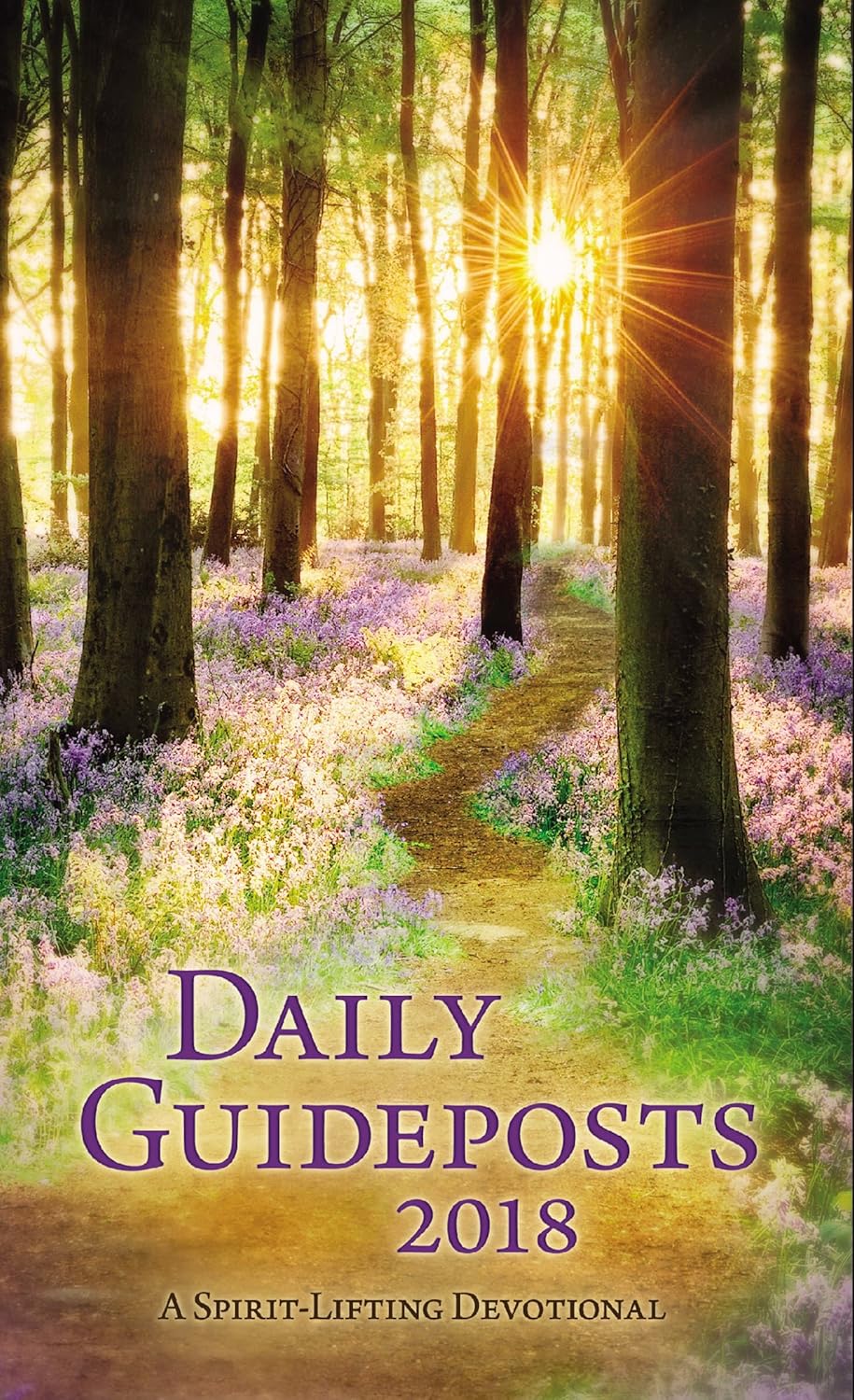 Daily Guideposts 2018 Large Print: A Spirit-Lifting Devotional ...