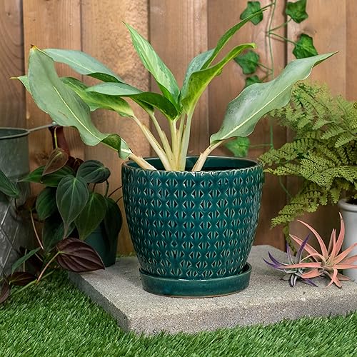 Miniatura 5 de Napco Maceta de cerámica triangular geométrica verde azulado de 6 x 6.5 pulgadas con platillo