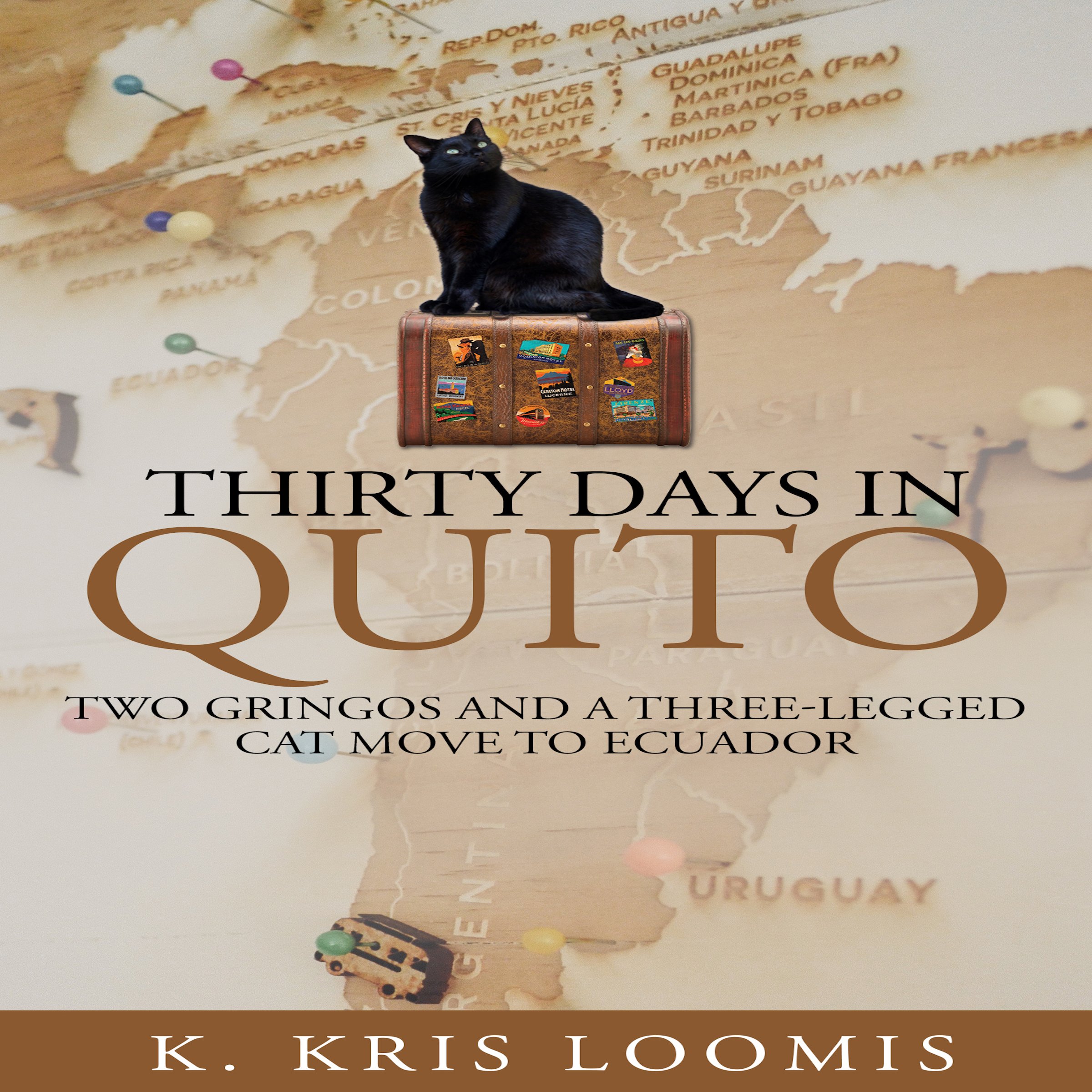 Cover art for Thirty Days in Quito
