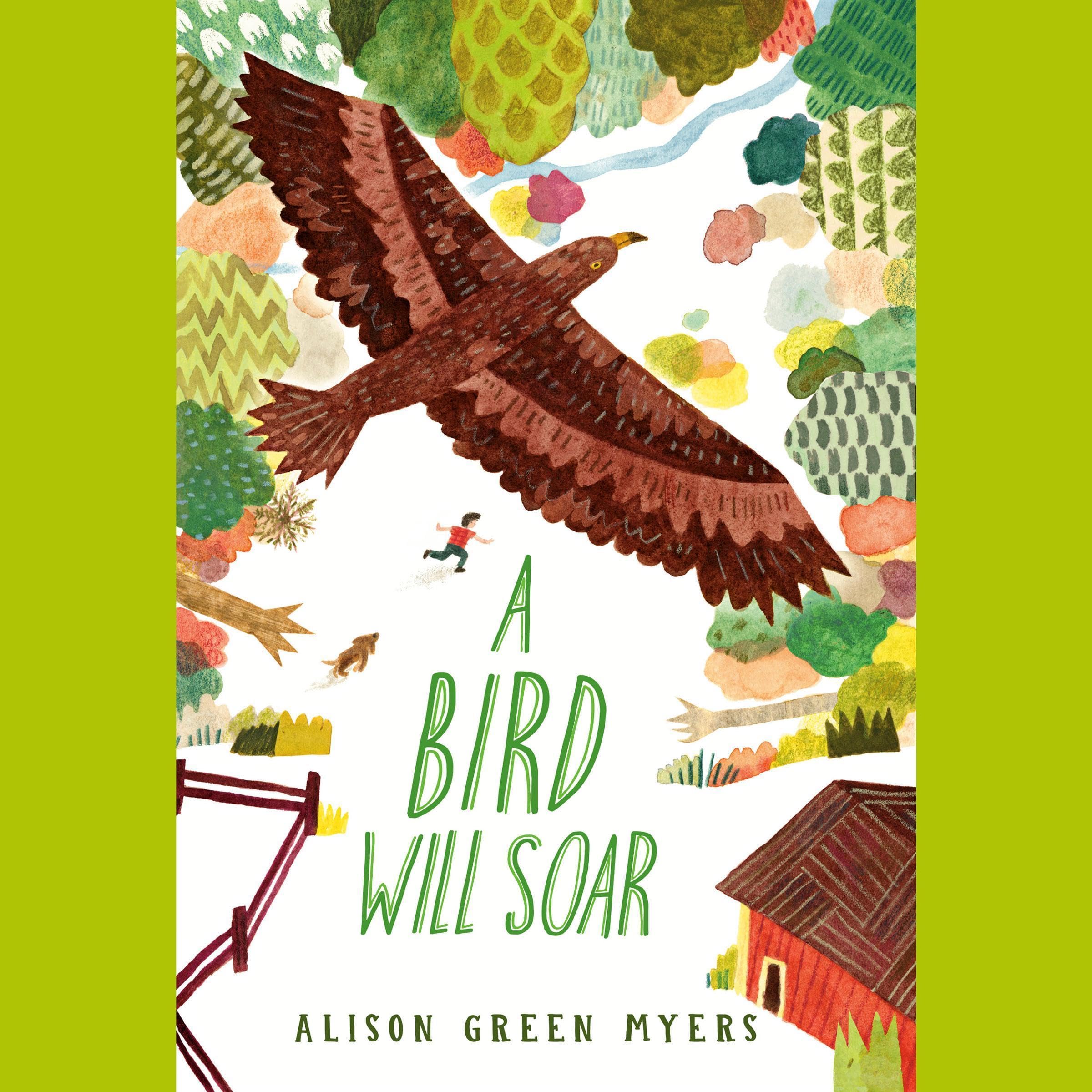Cover art for A Bird Will Soar