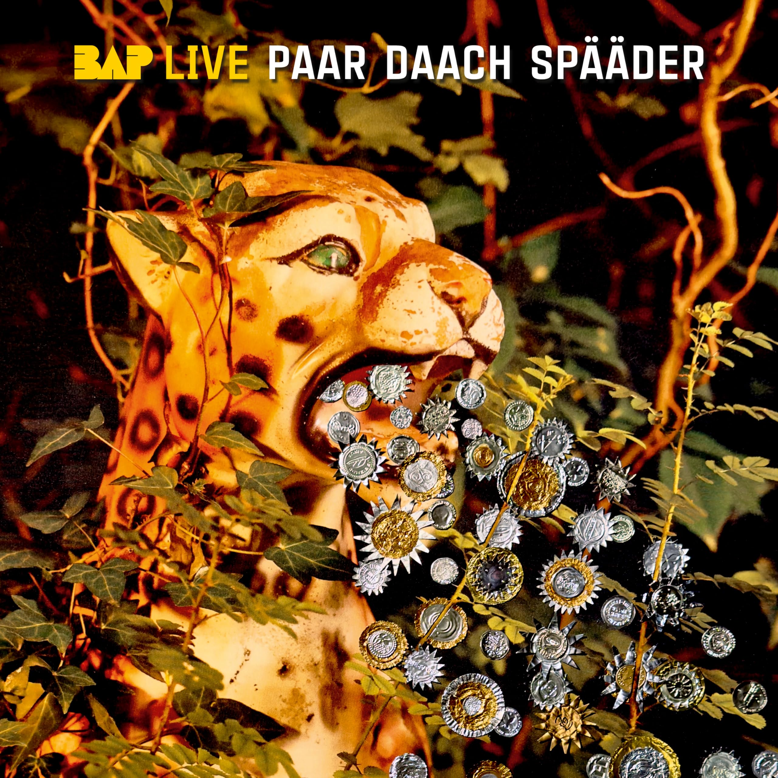 Paar Daach Spääder