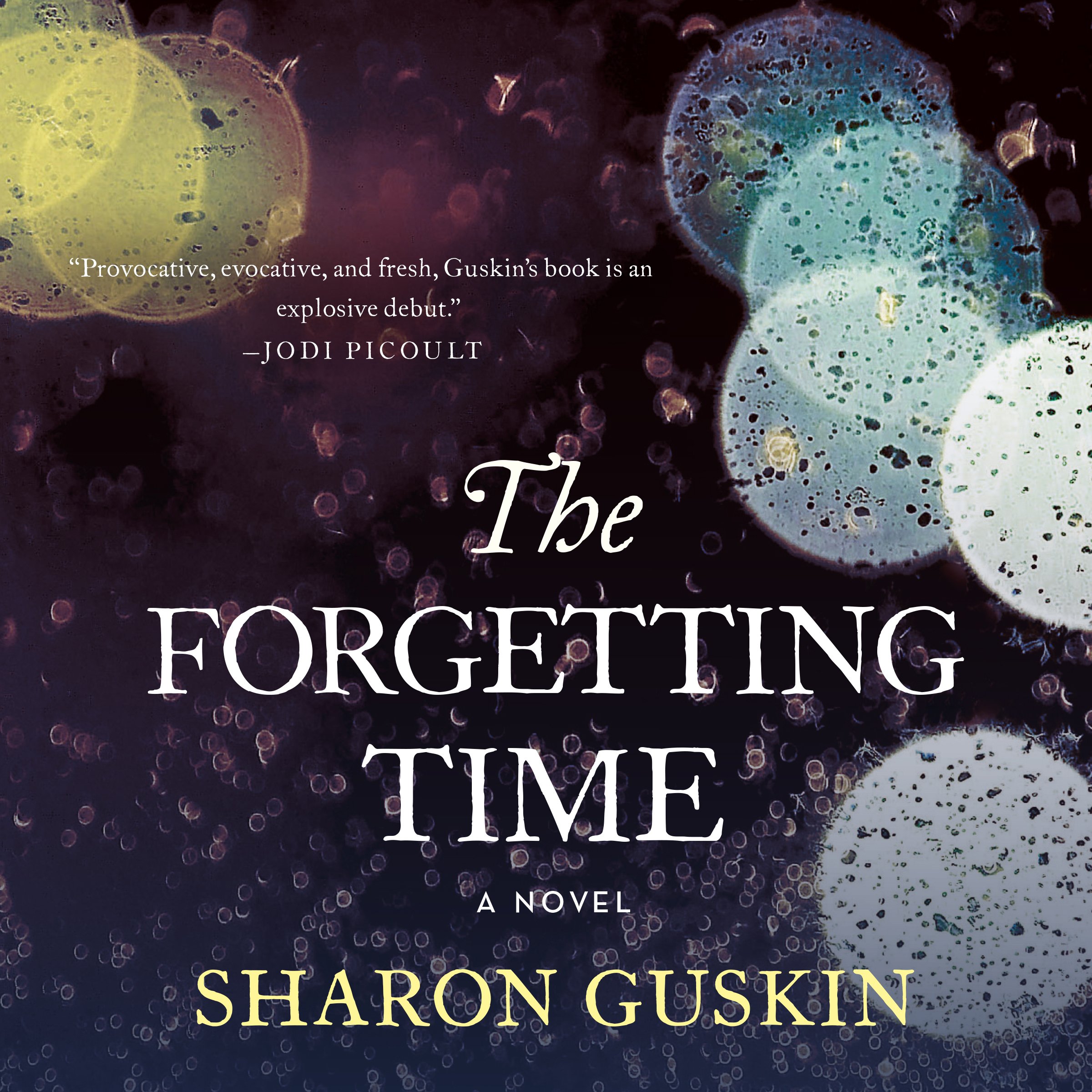 Cover art for The Forgetting Time