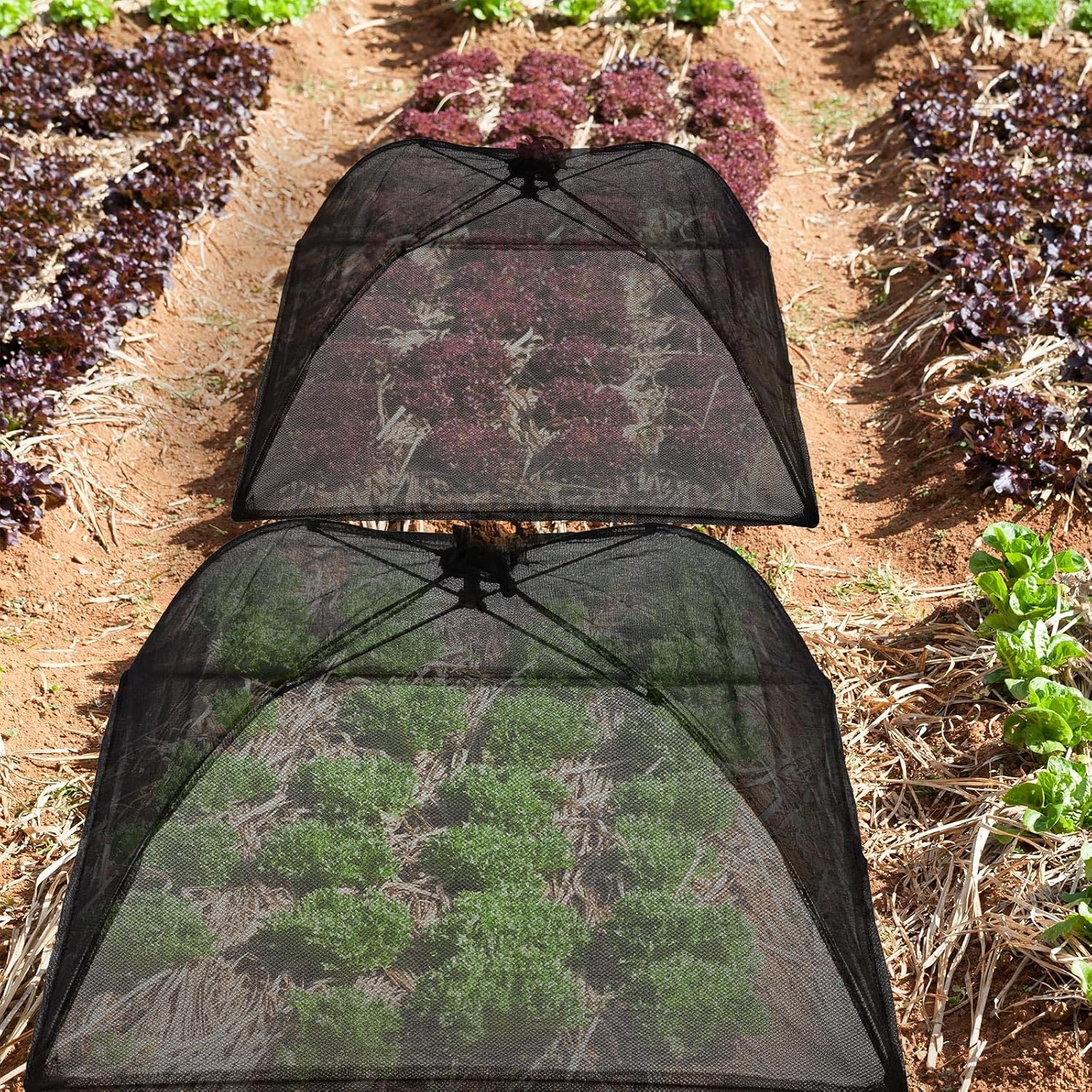 Sawysine 4 Pack Mesh Plant Cover Dome Tent Protector,17 X 17 Inch,Black image 5