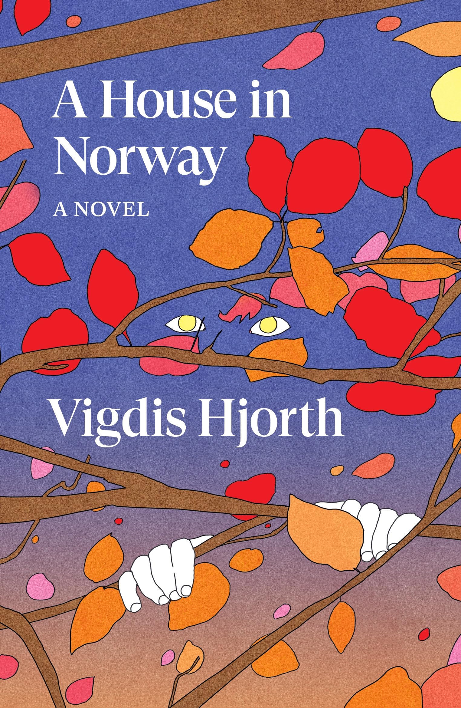 A House in Norway (Verso Fiction)