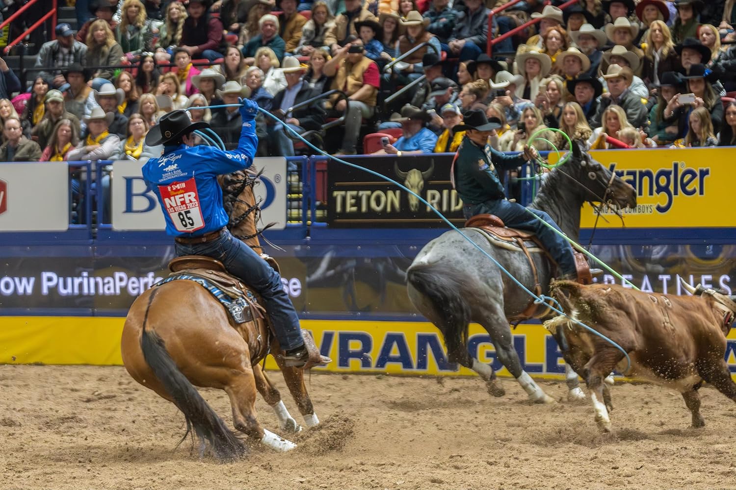 The Lone Star Thunderbird Heel Rope, Blue/Green Team Rope